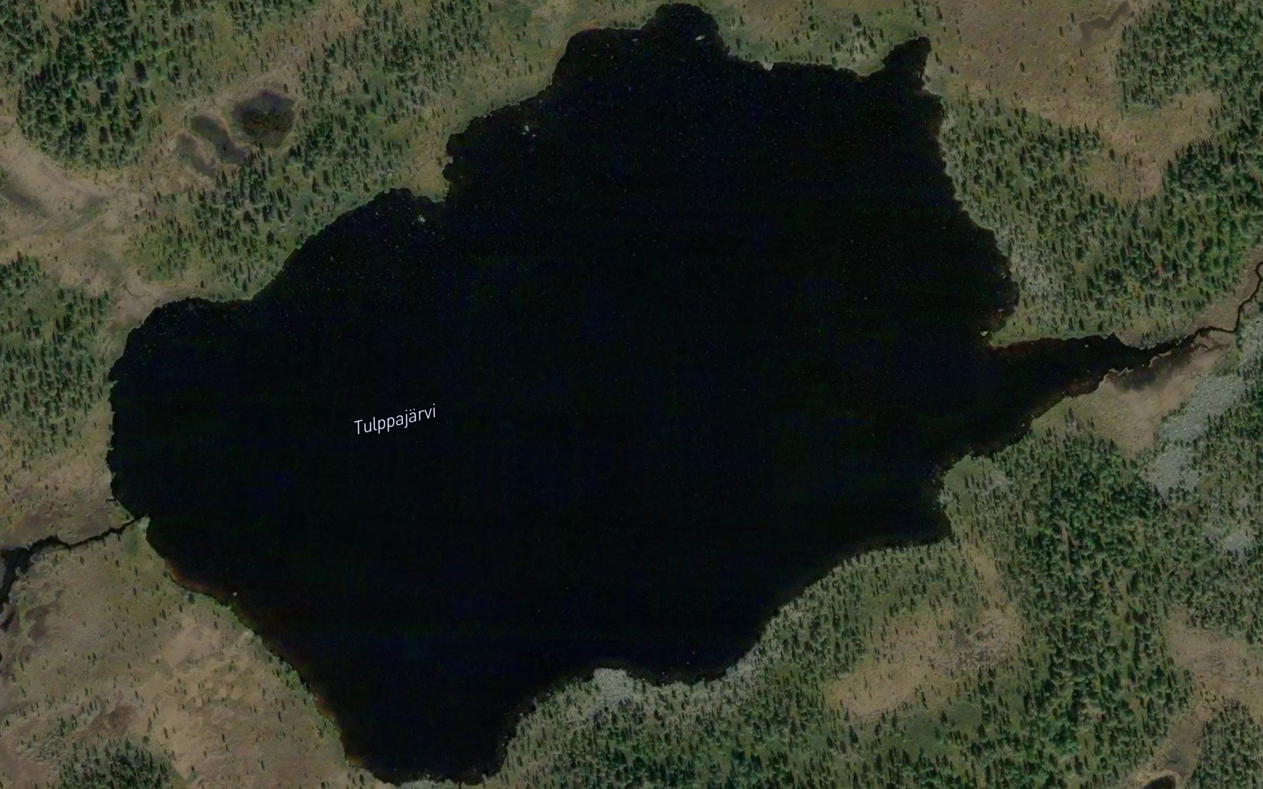 Tu'lkkjau'rr