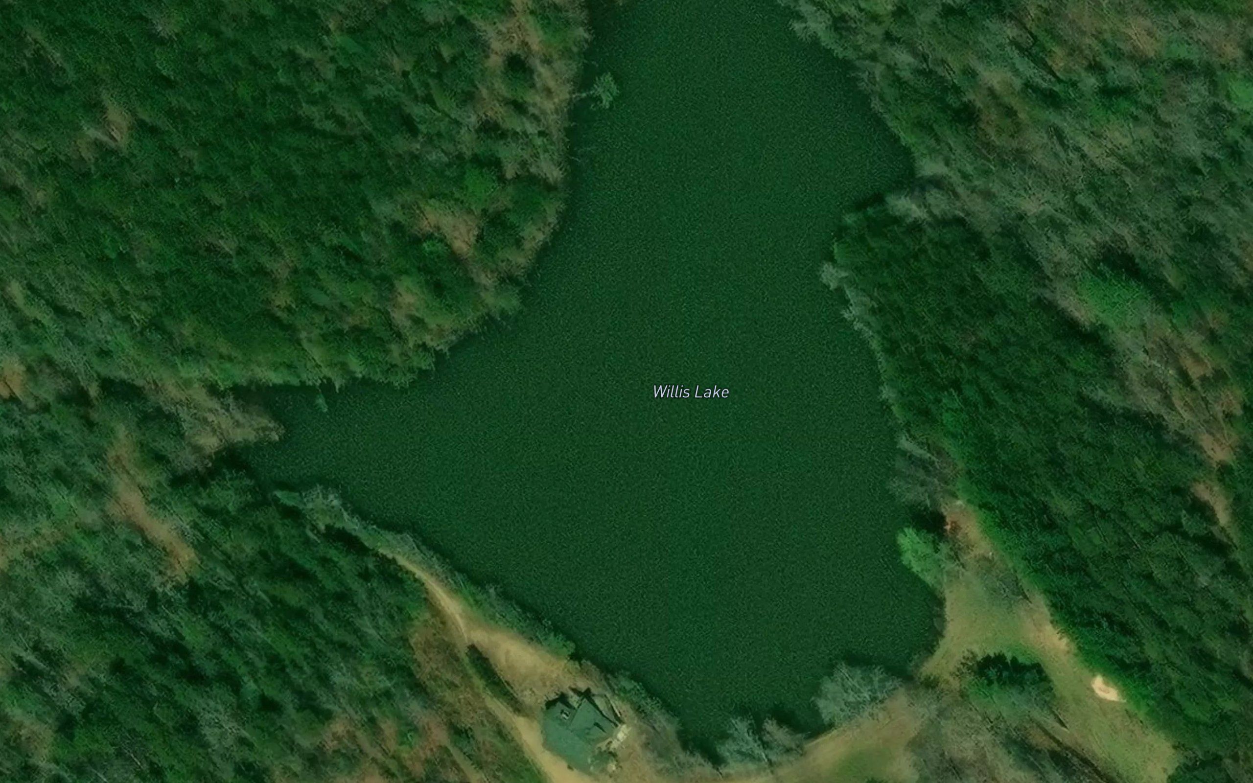 Willis Lake