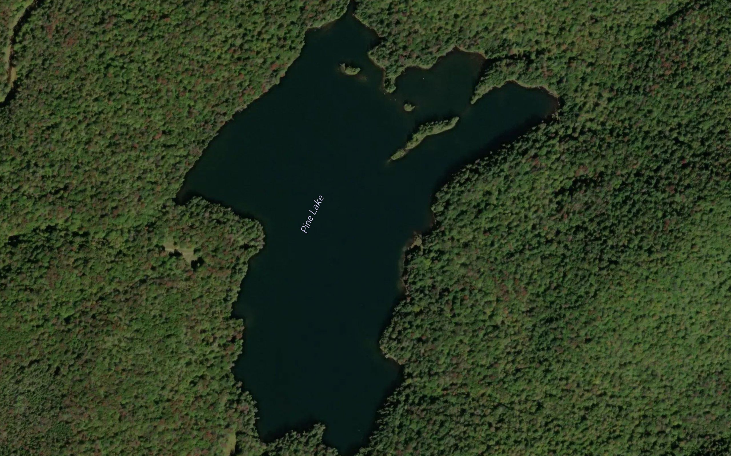 Pine Lake