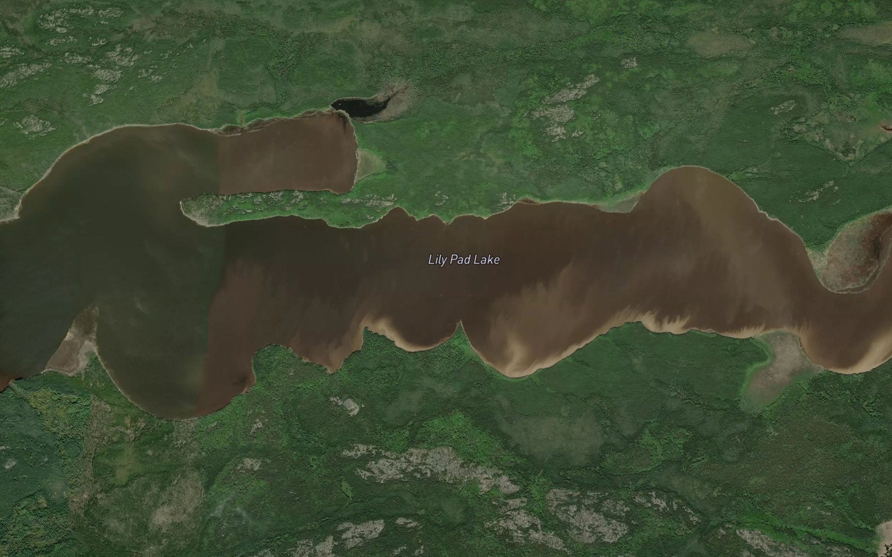 Satellite map of the Lily Pad Lake