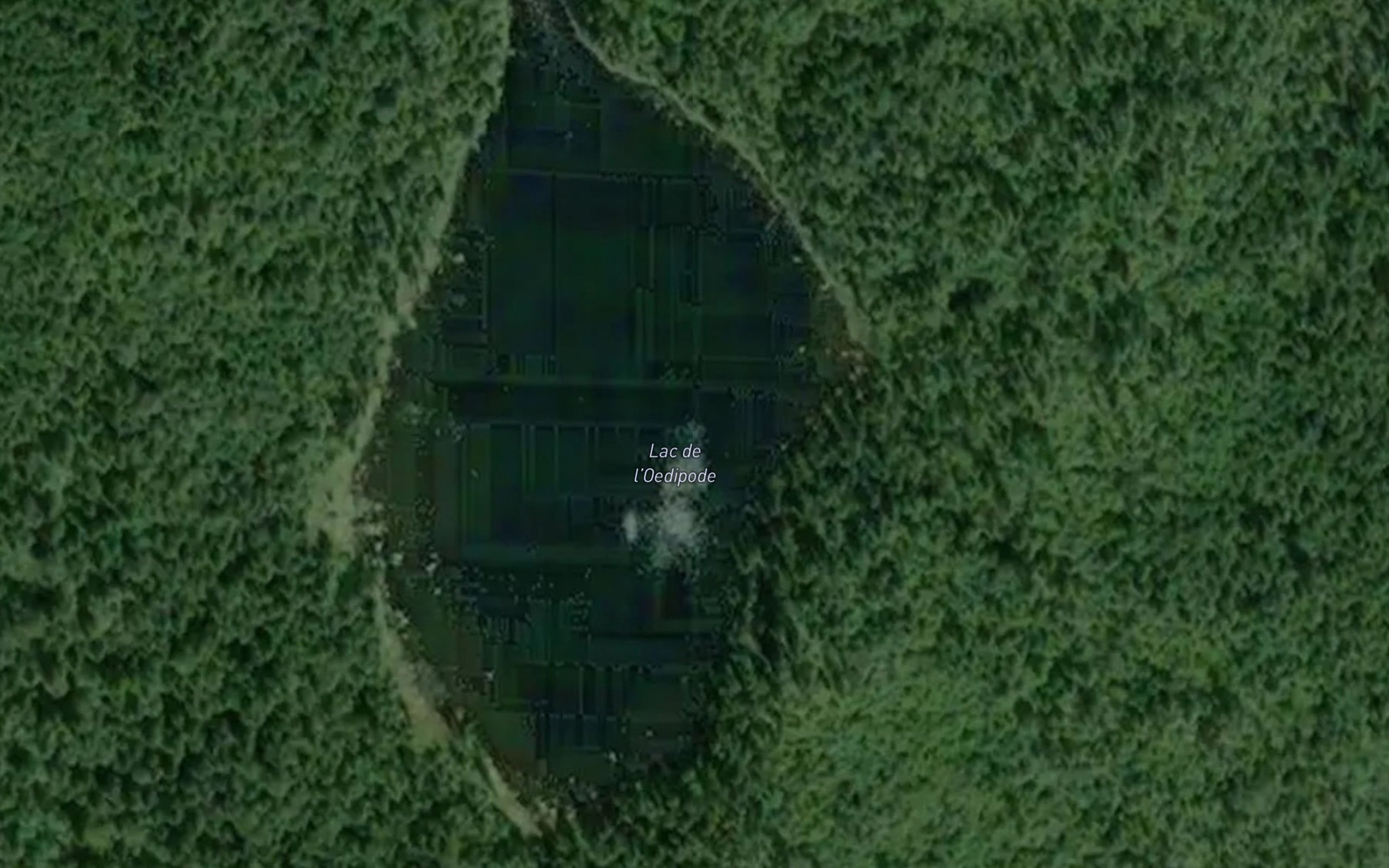 Satellite map of the Lac de l'Oedipode