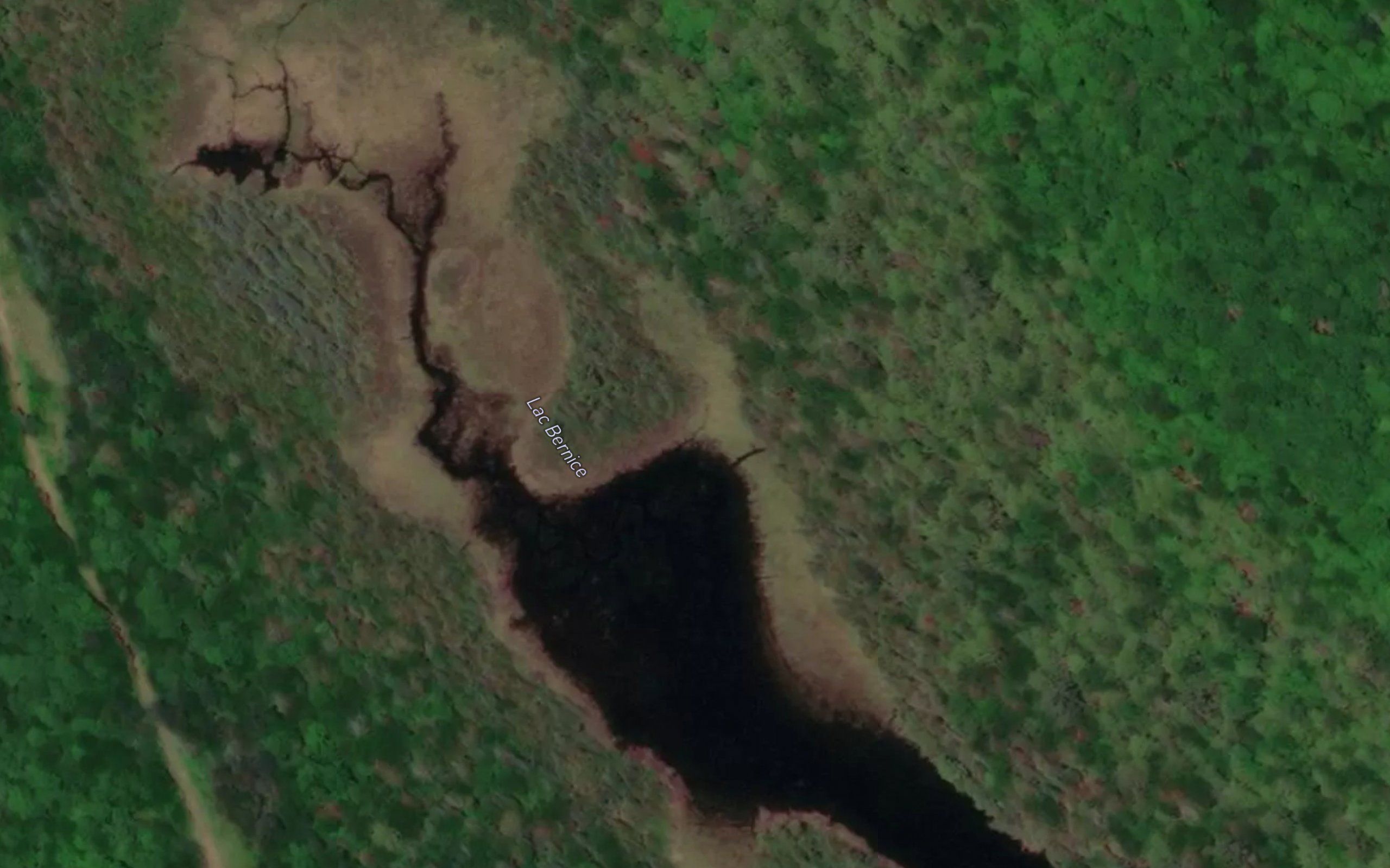 Lac Bernice