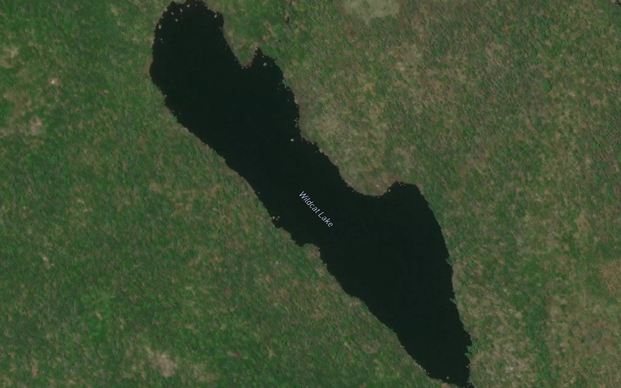 Wildcat Lake