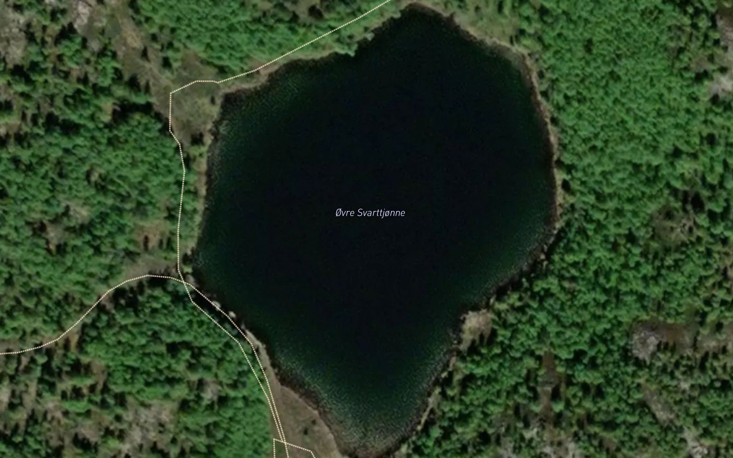 Svarttjorni,nordre