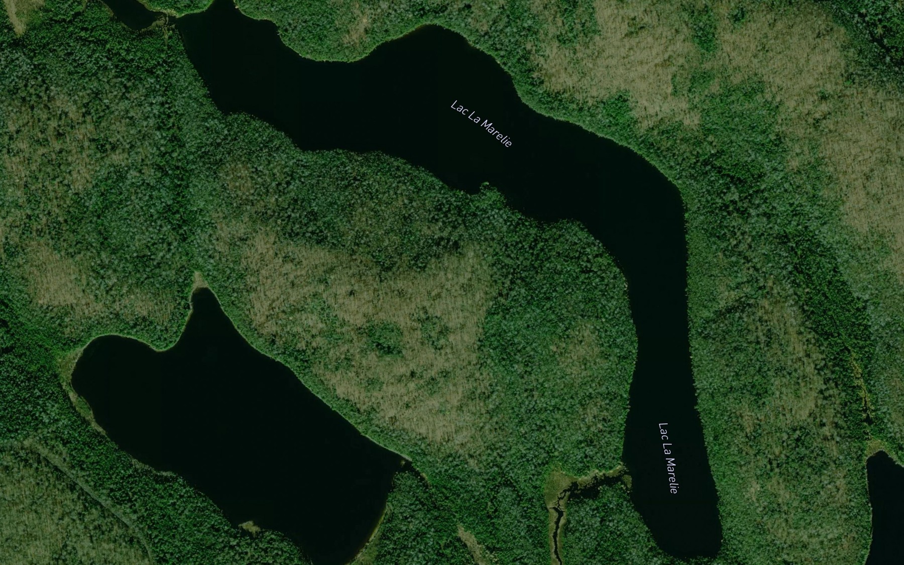 Satellite map of the Lac La Marelie