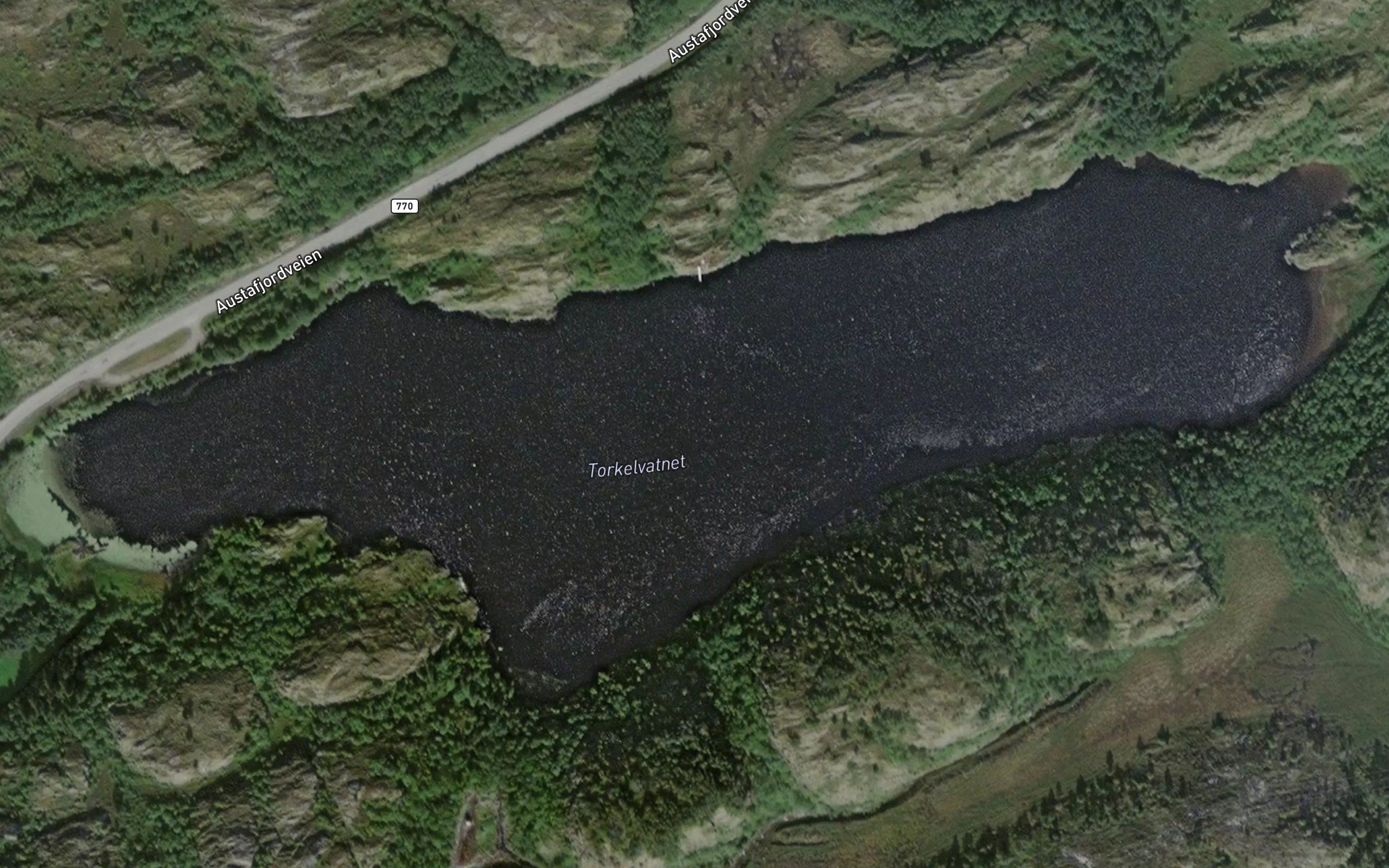 Torkelvatnet