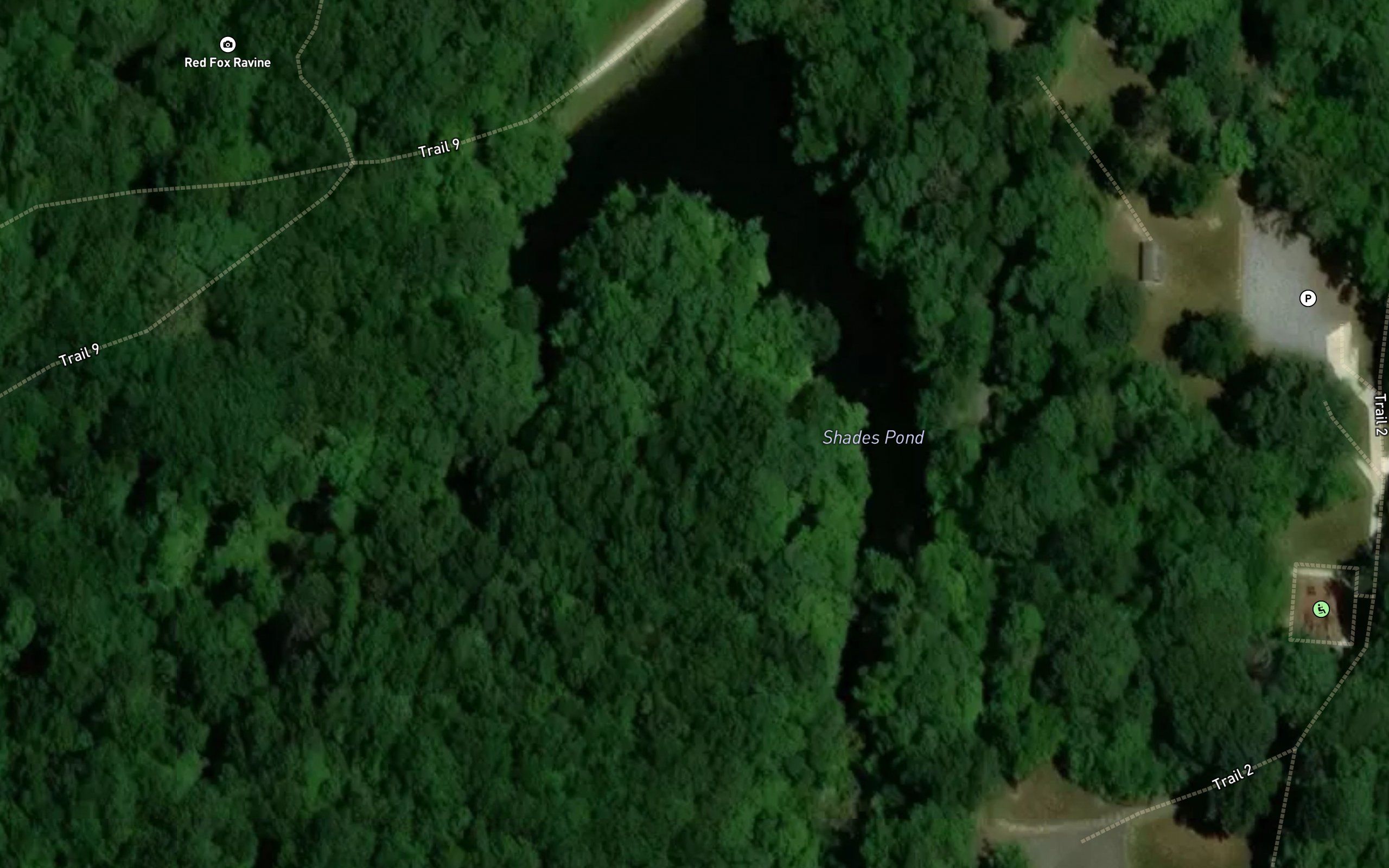 Shades Pond