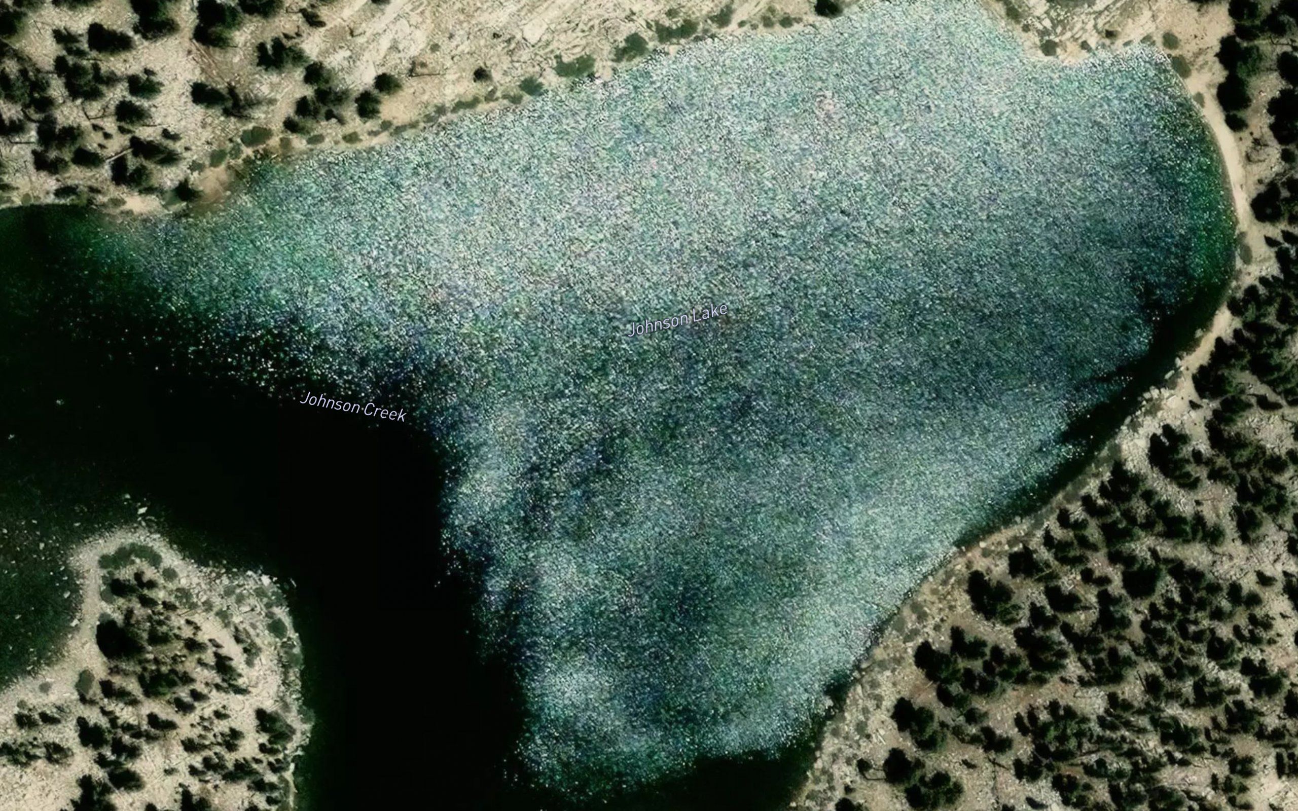 Johnson Lake
