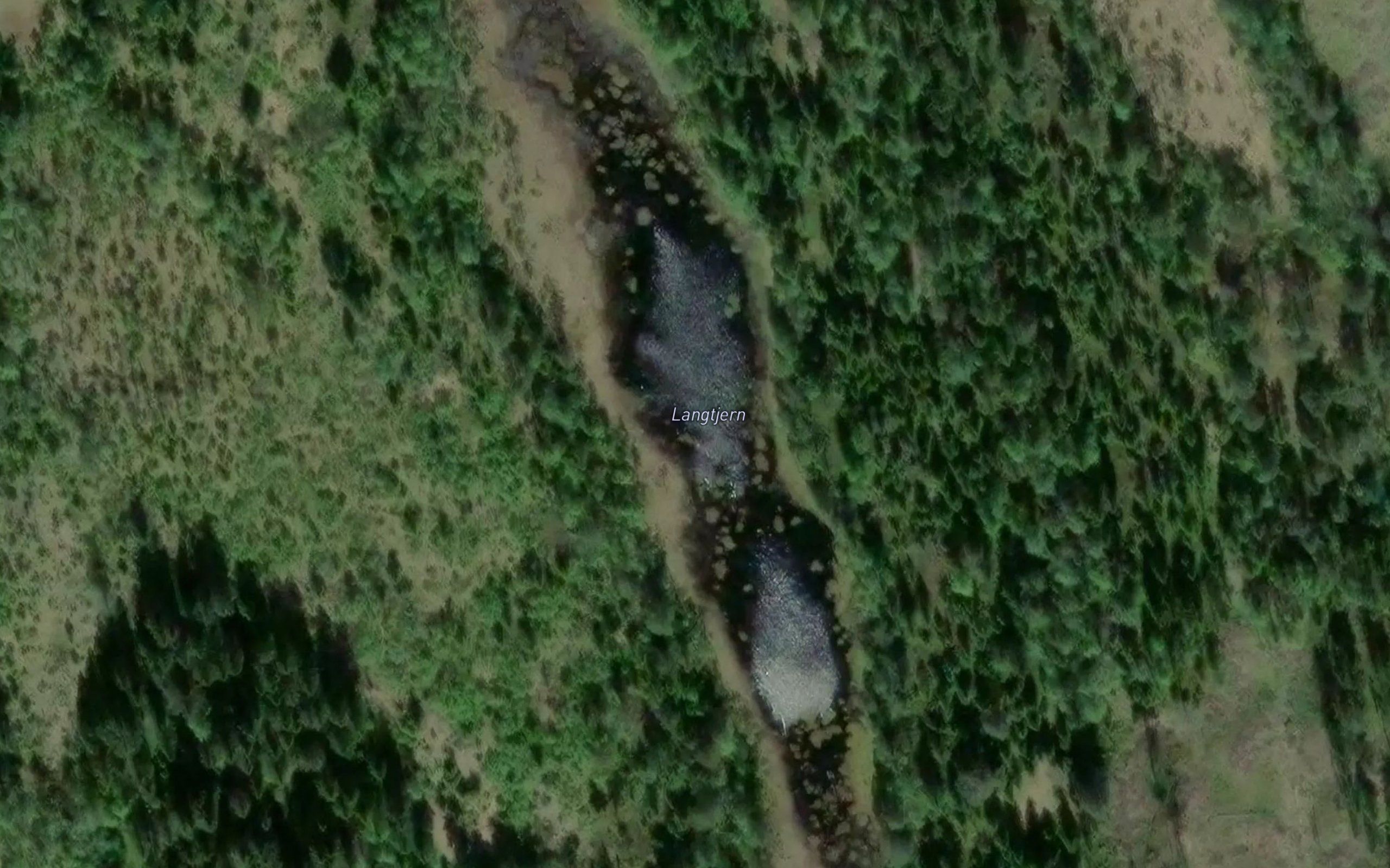 Langtjern