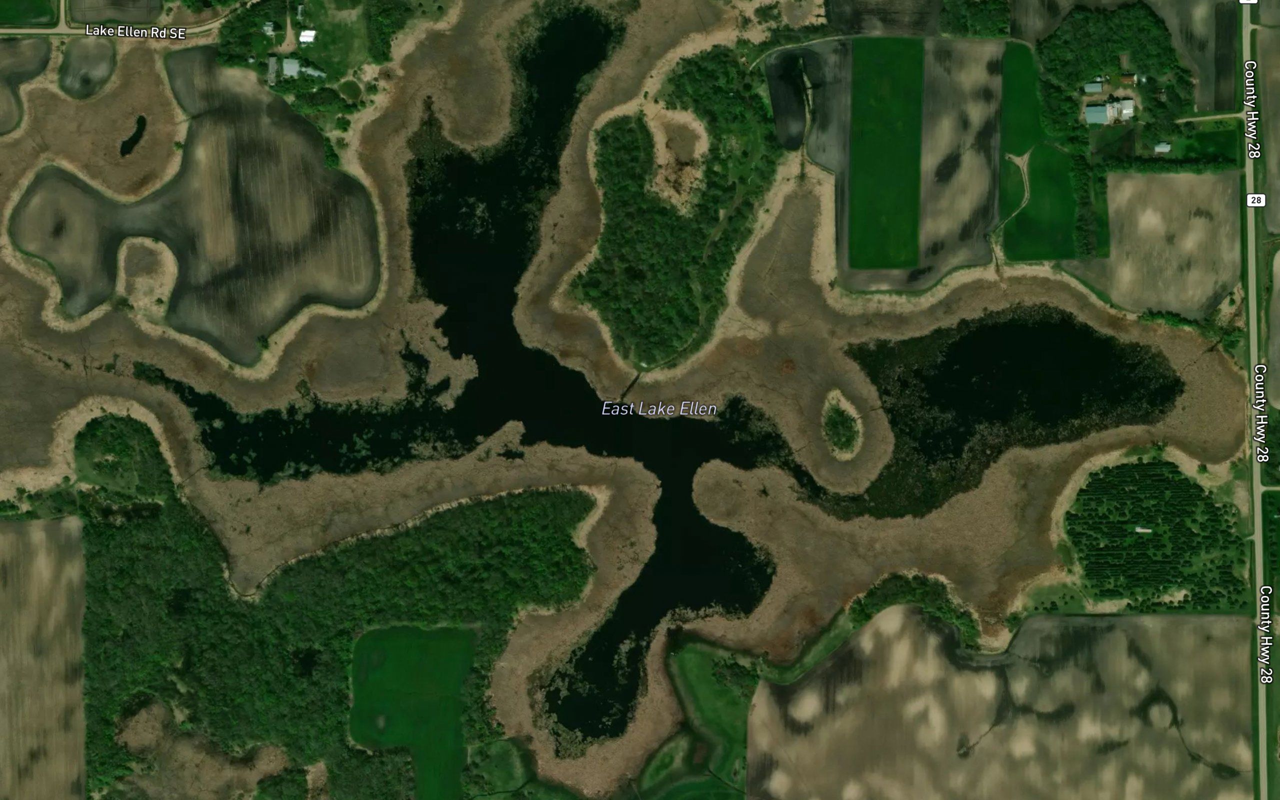 Ellen Lake