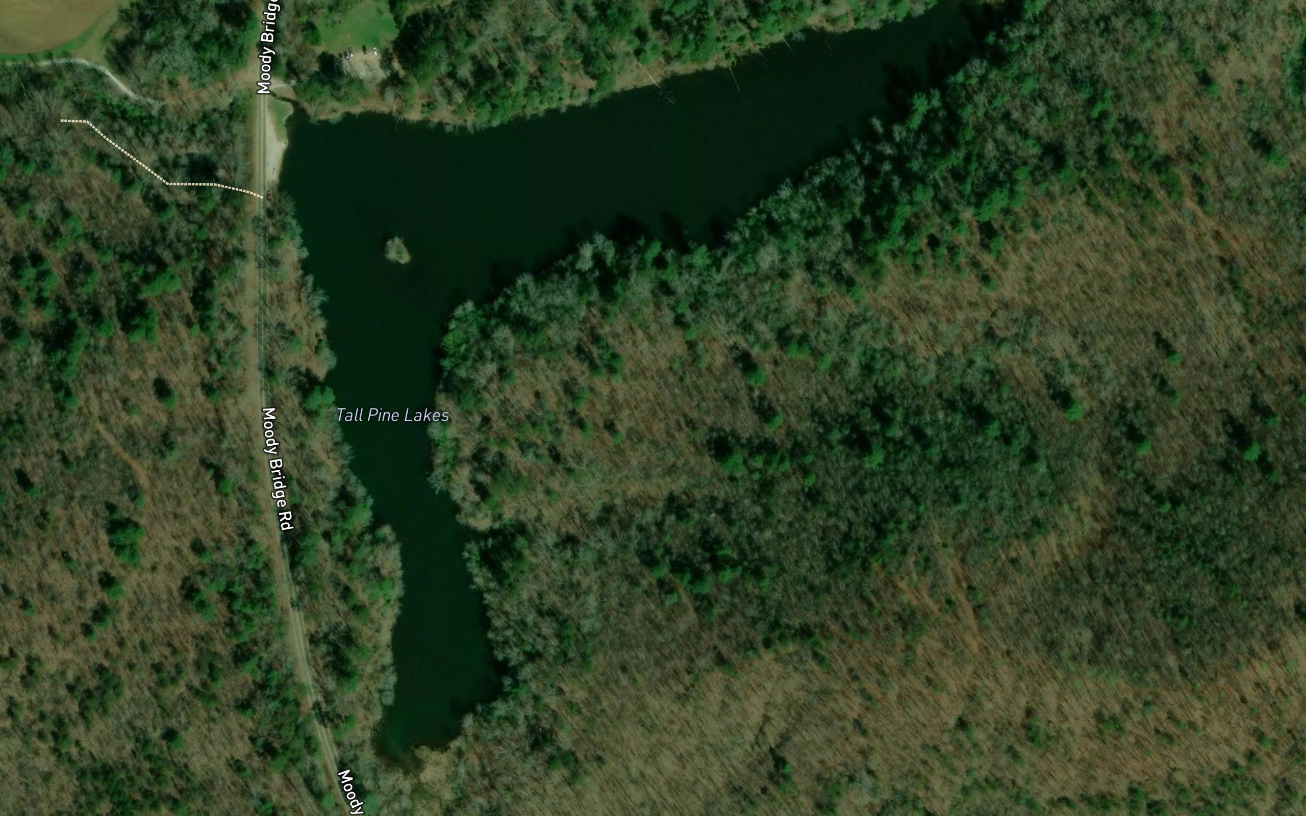 Tall Pine Lakes