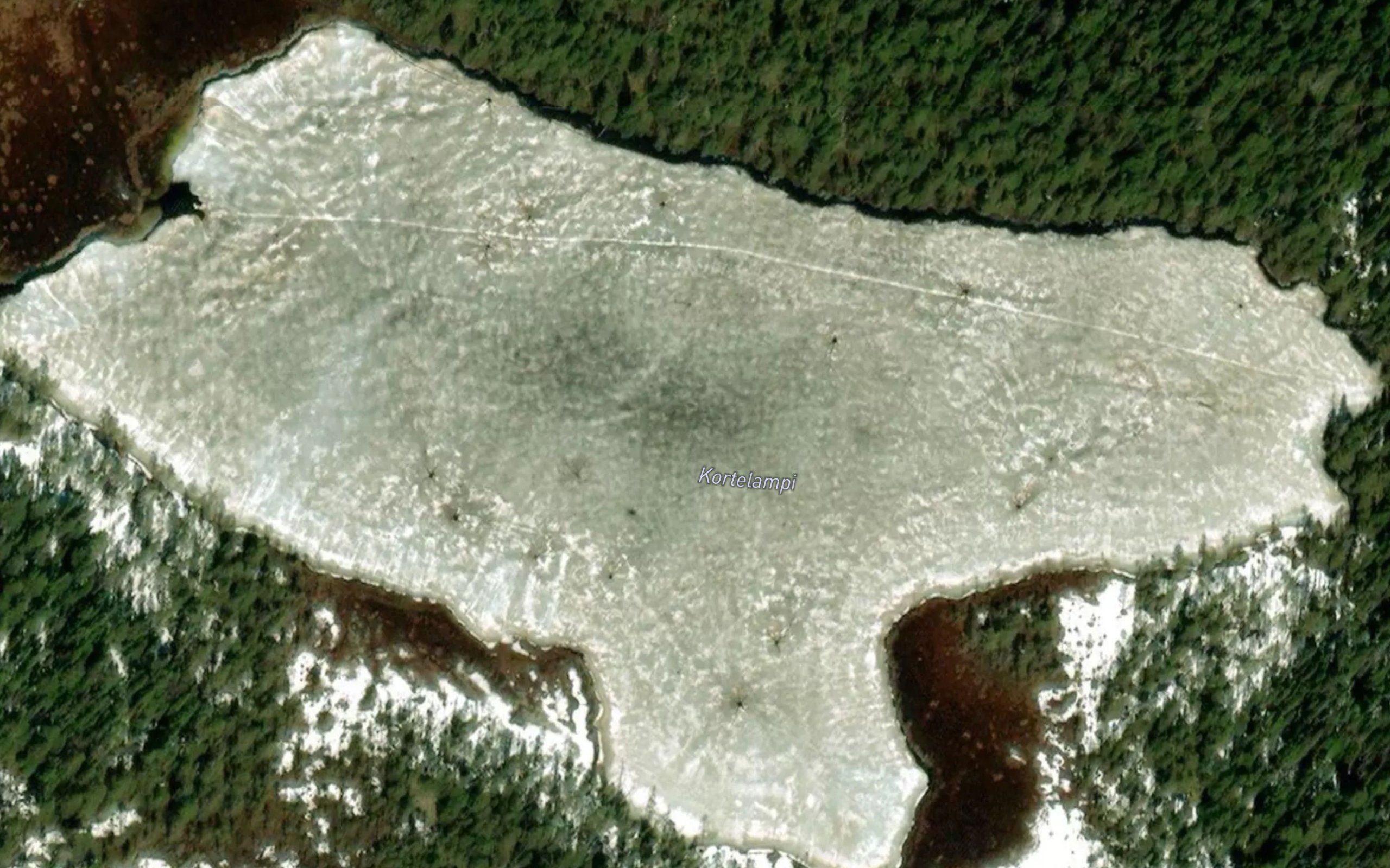 Kortelampi