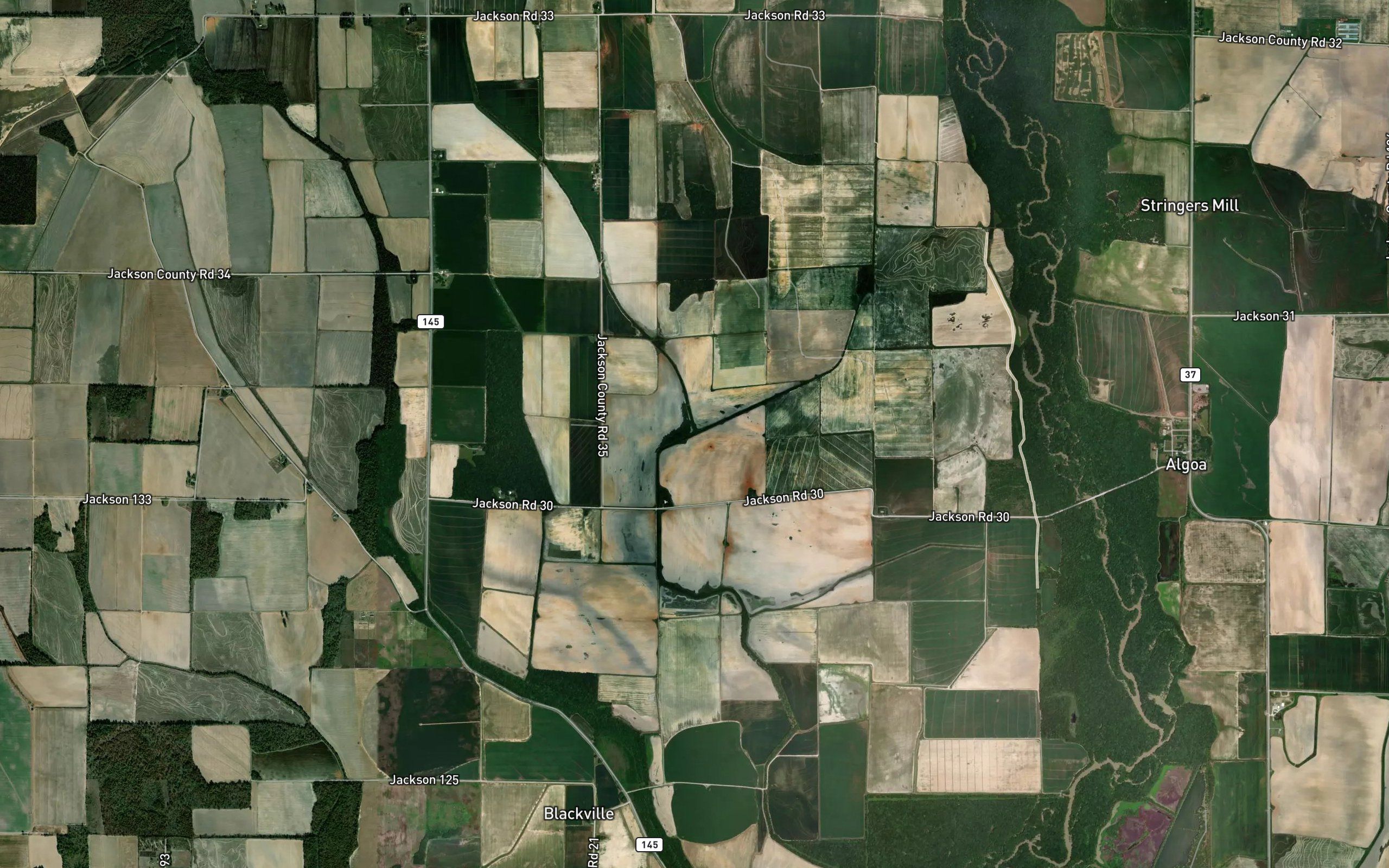 Turkey Slough