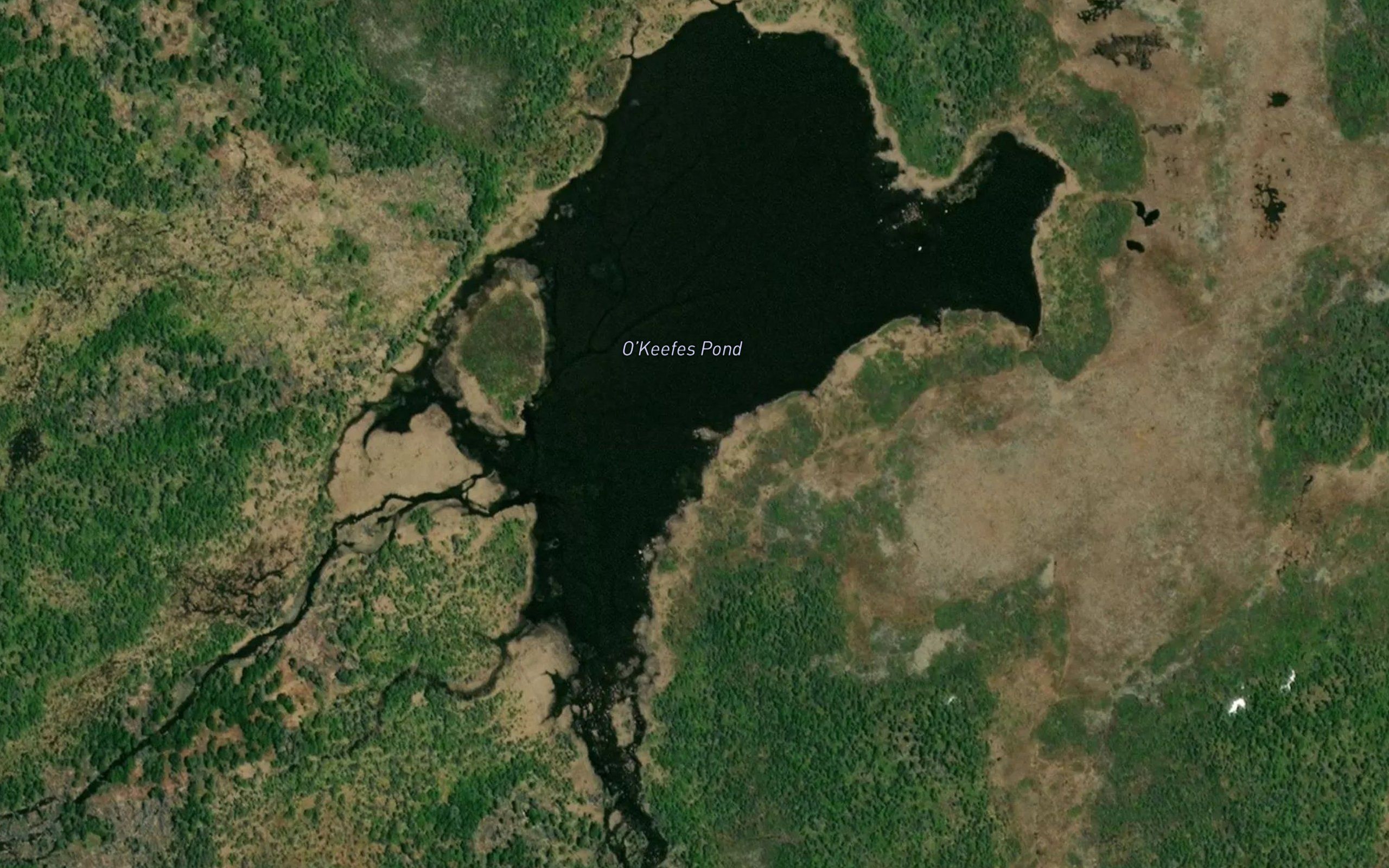 O'Keefes Pond