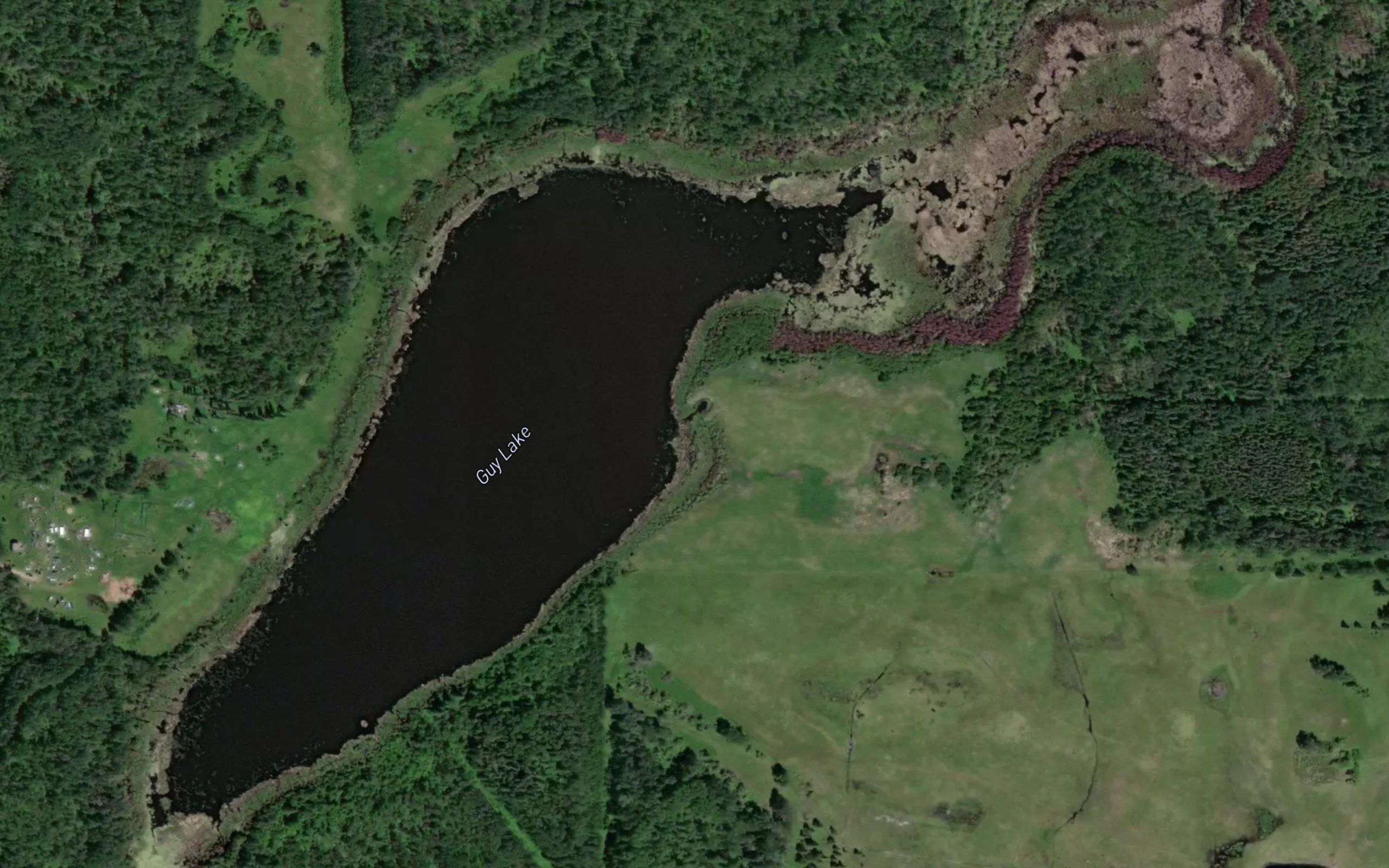 Guy Lake