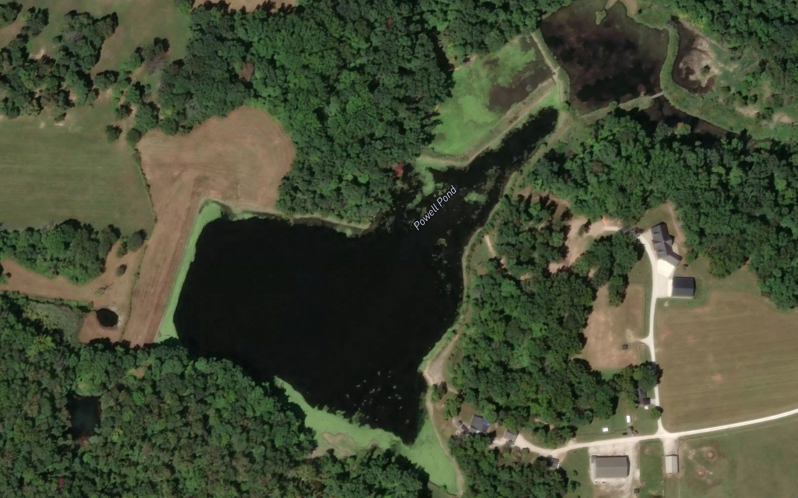 Powell Pond