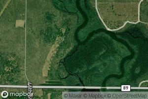 Palmer Bayou