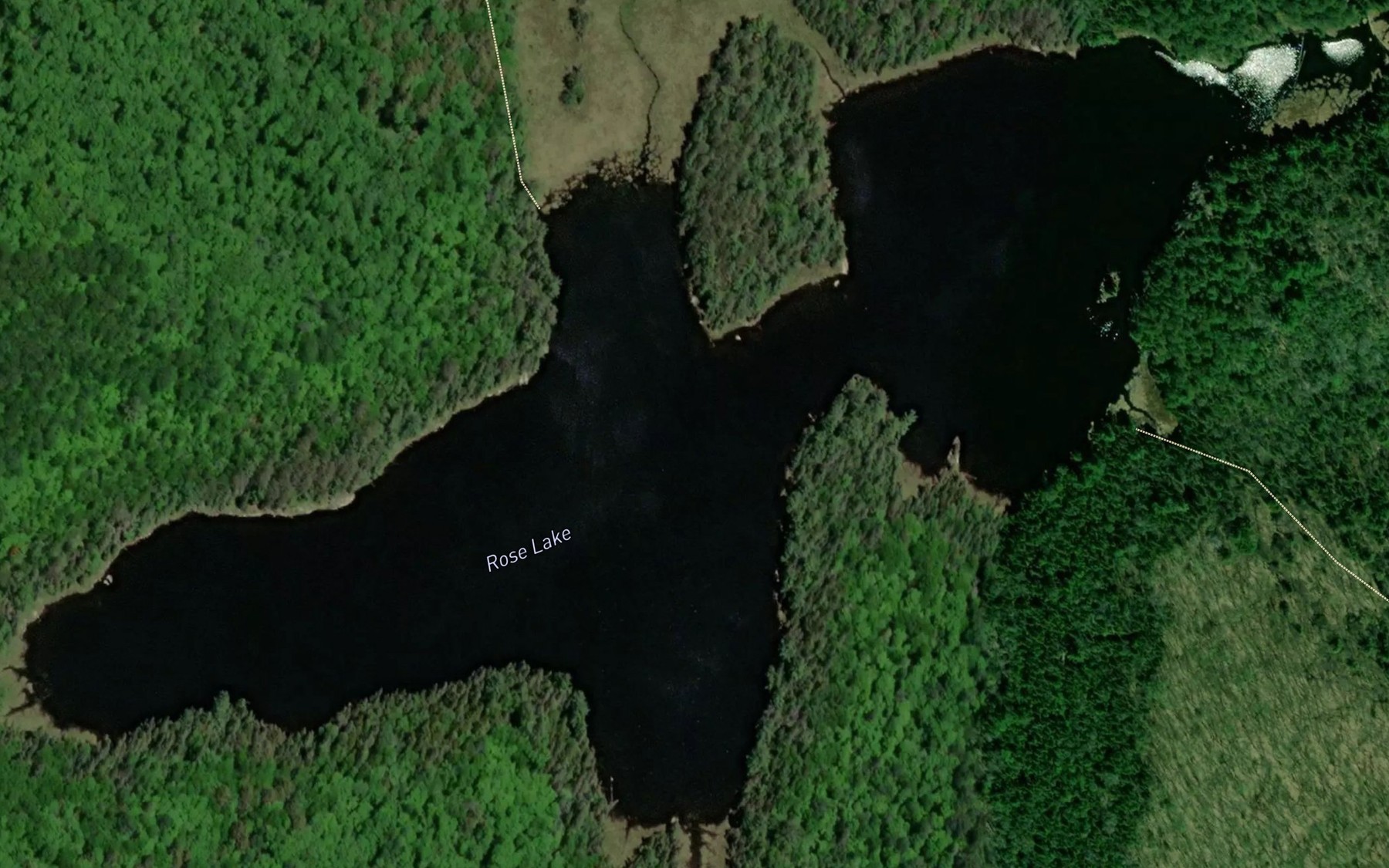 Satellite map of the Rose Lake