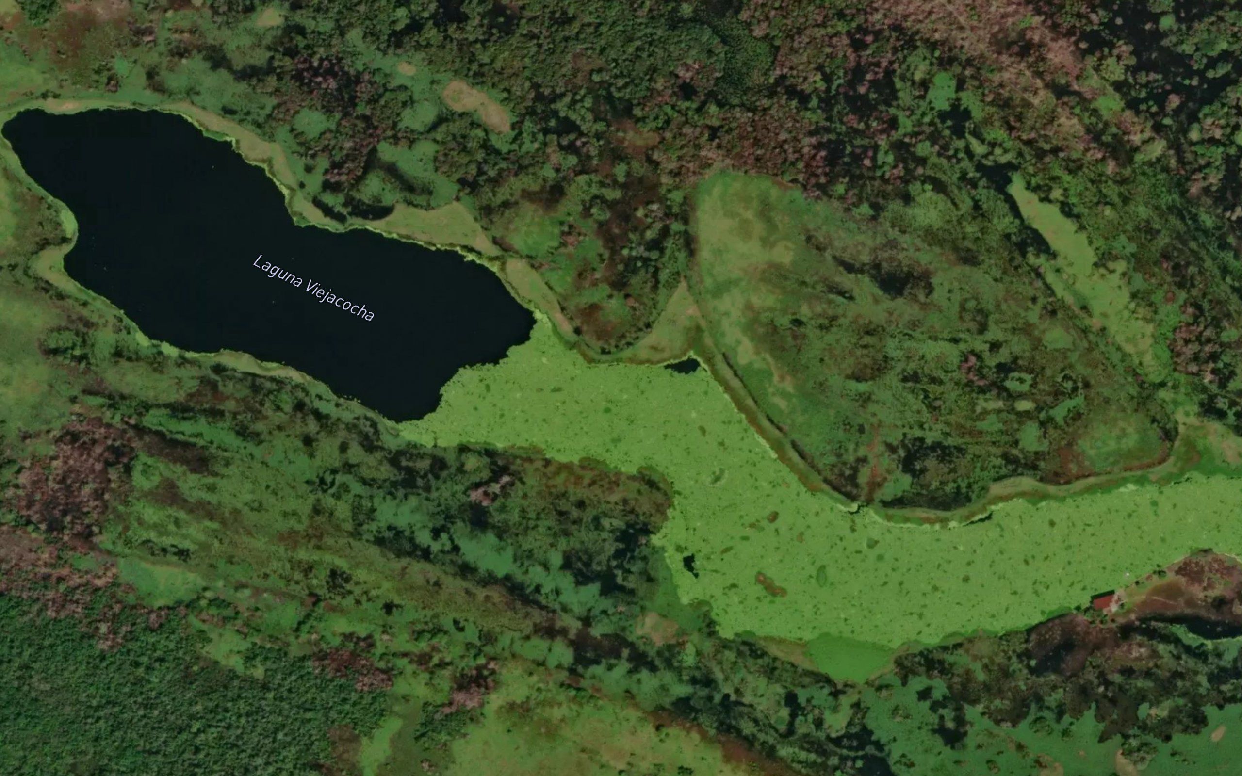 Laguna Viejacocha