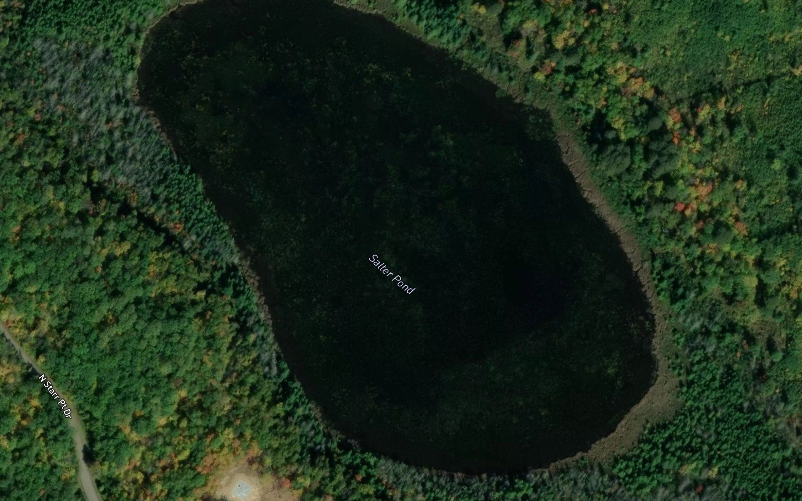 Salter Pond