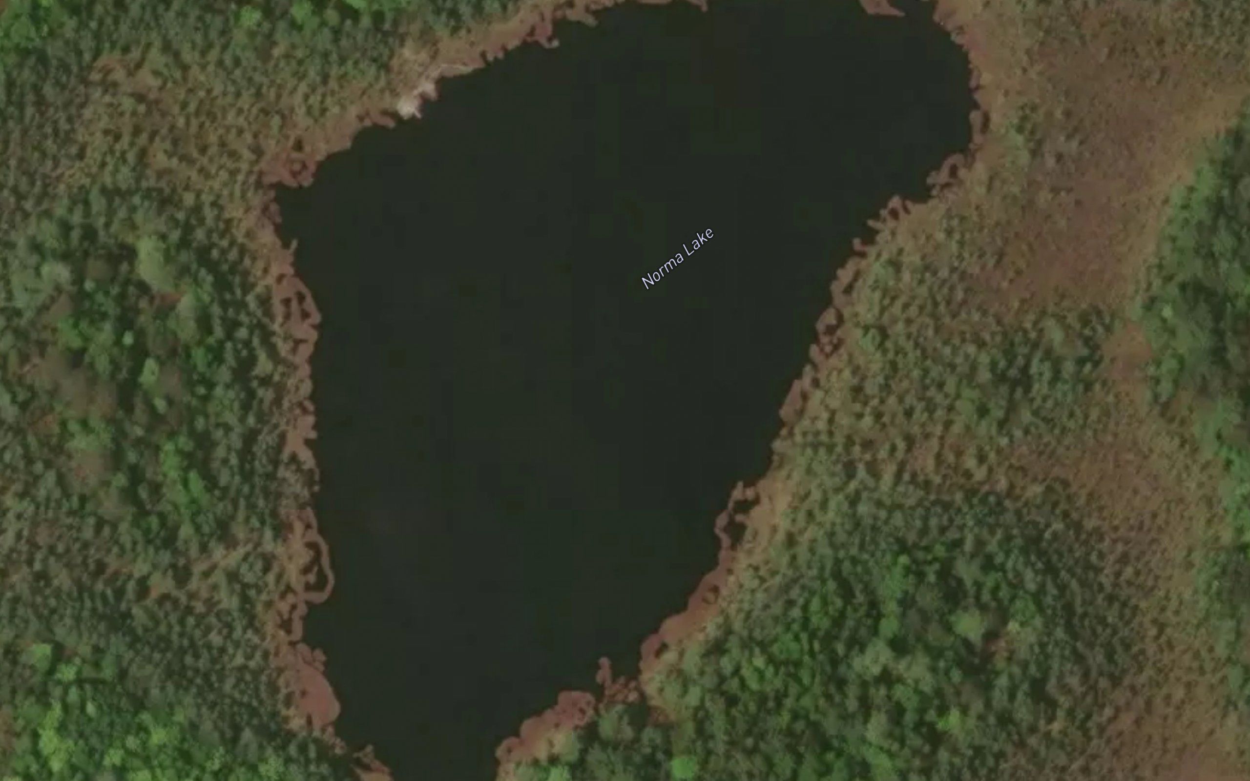 Norma Lake
