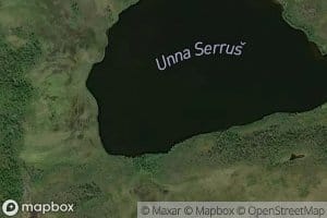 Salvojokk