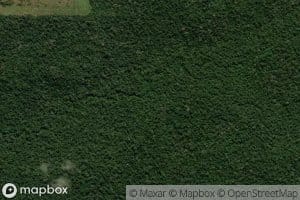 Igarape Braco Sul do Gustavo