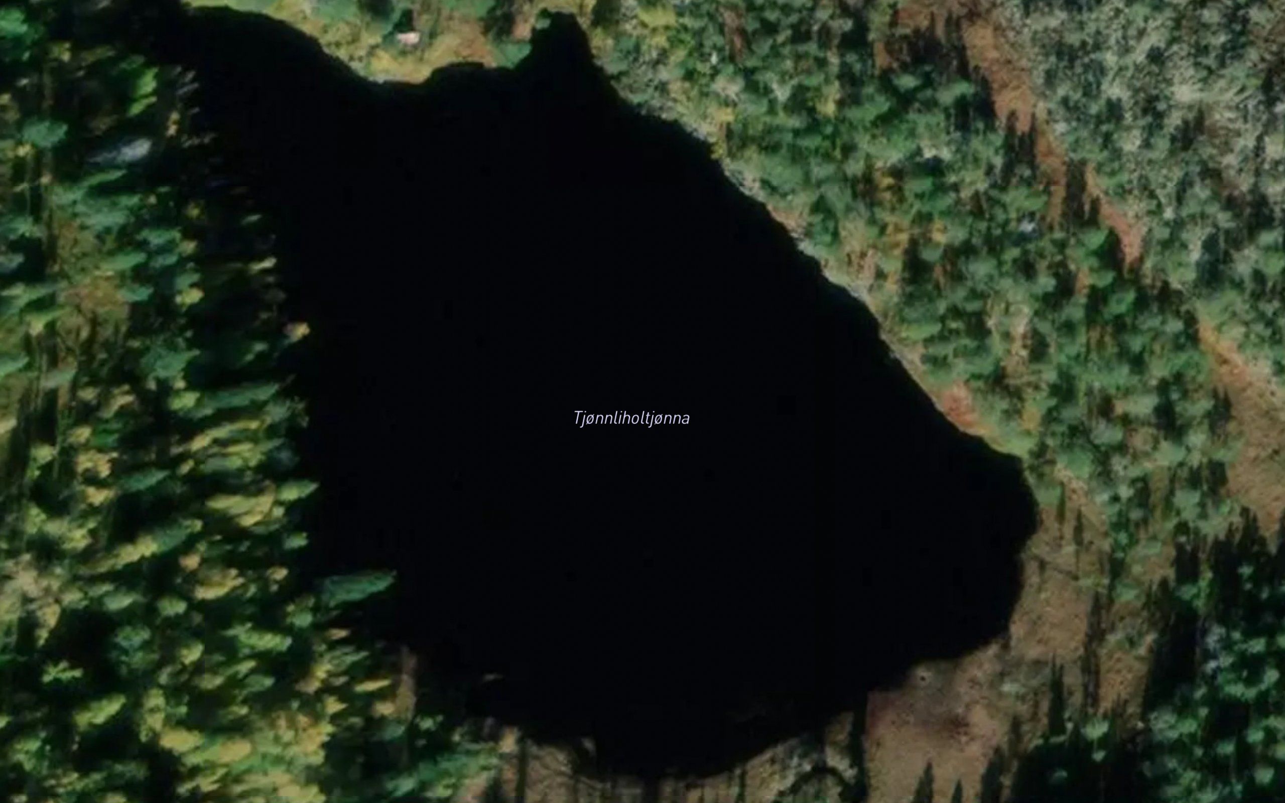 Tjornliholtjorna