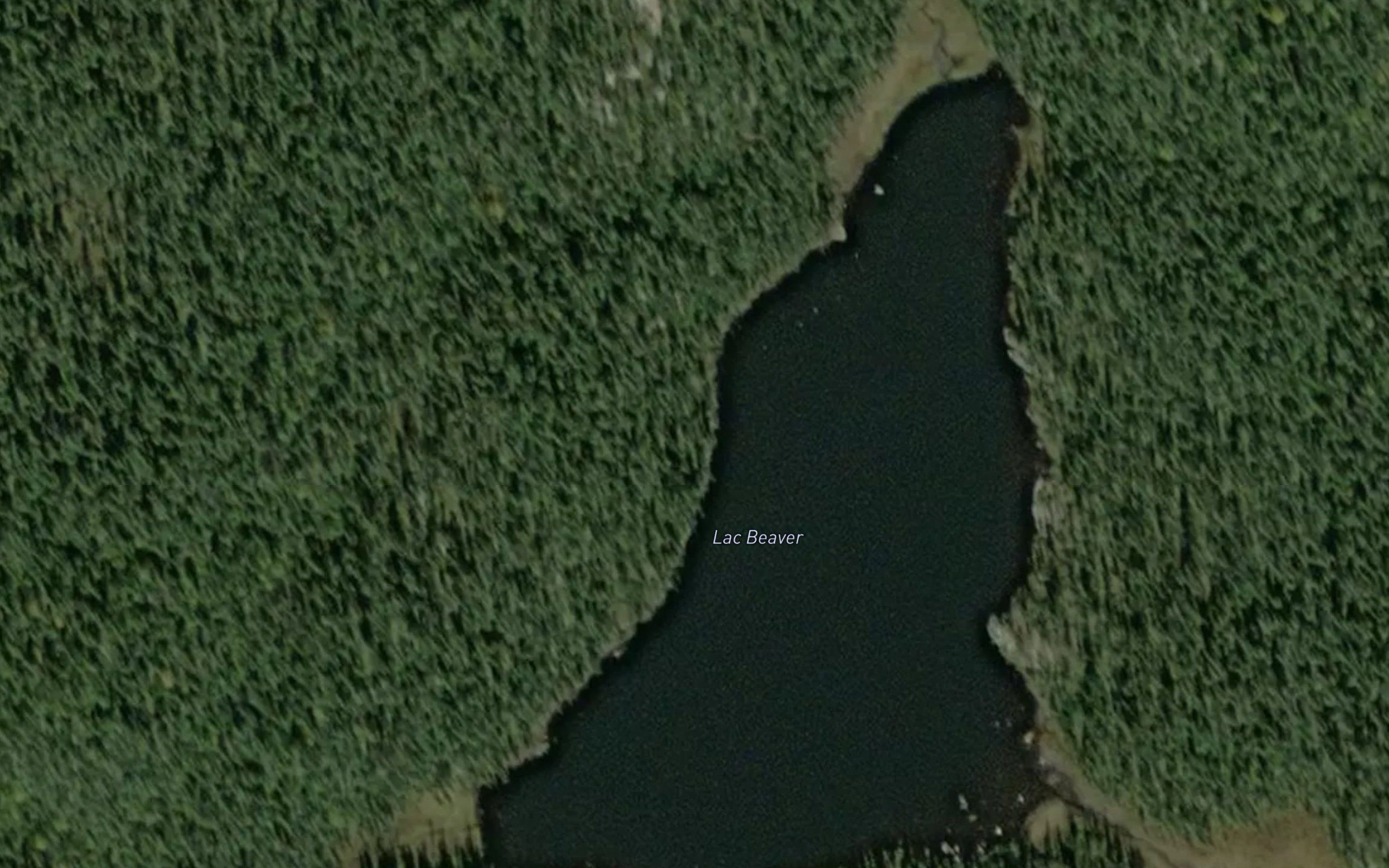 Lac du Beaver
