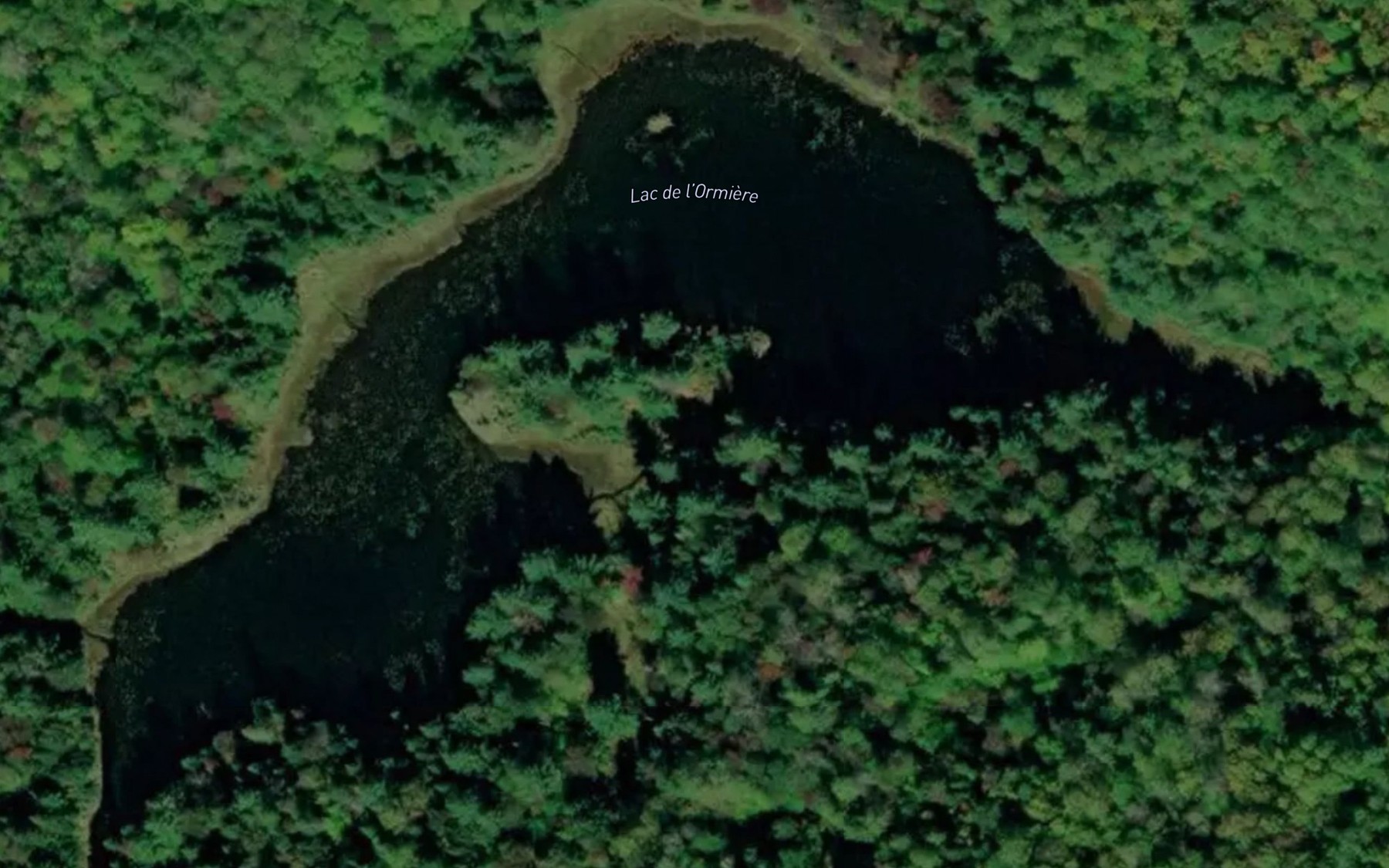 Satellite map of the Lac de l'Ormiere