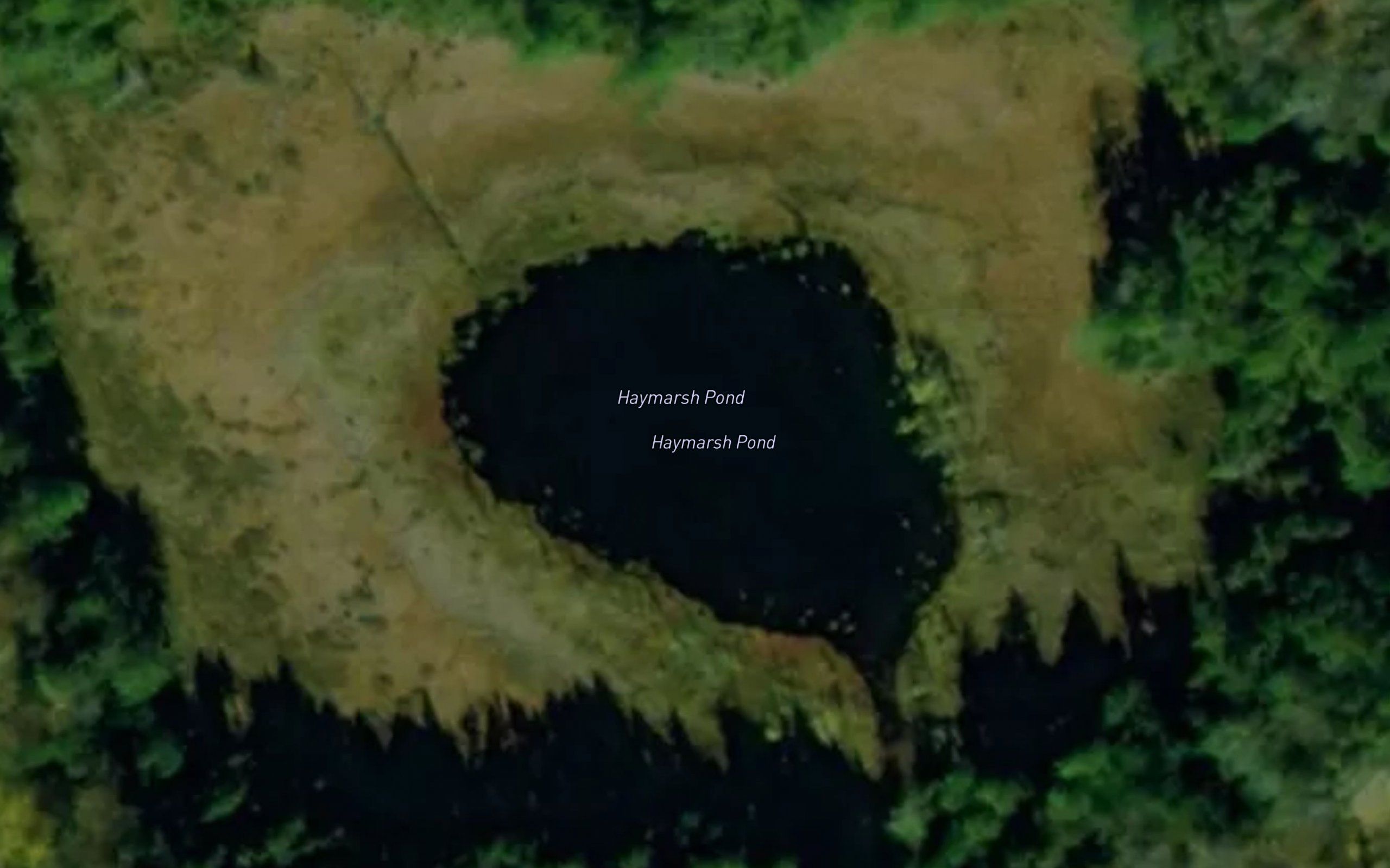 Haymarsh Pond