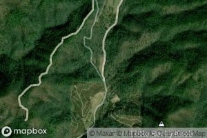 Anthony Bolick Branch