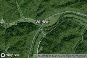 Wild Cat Creek