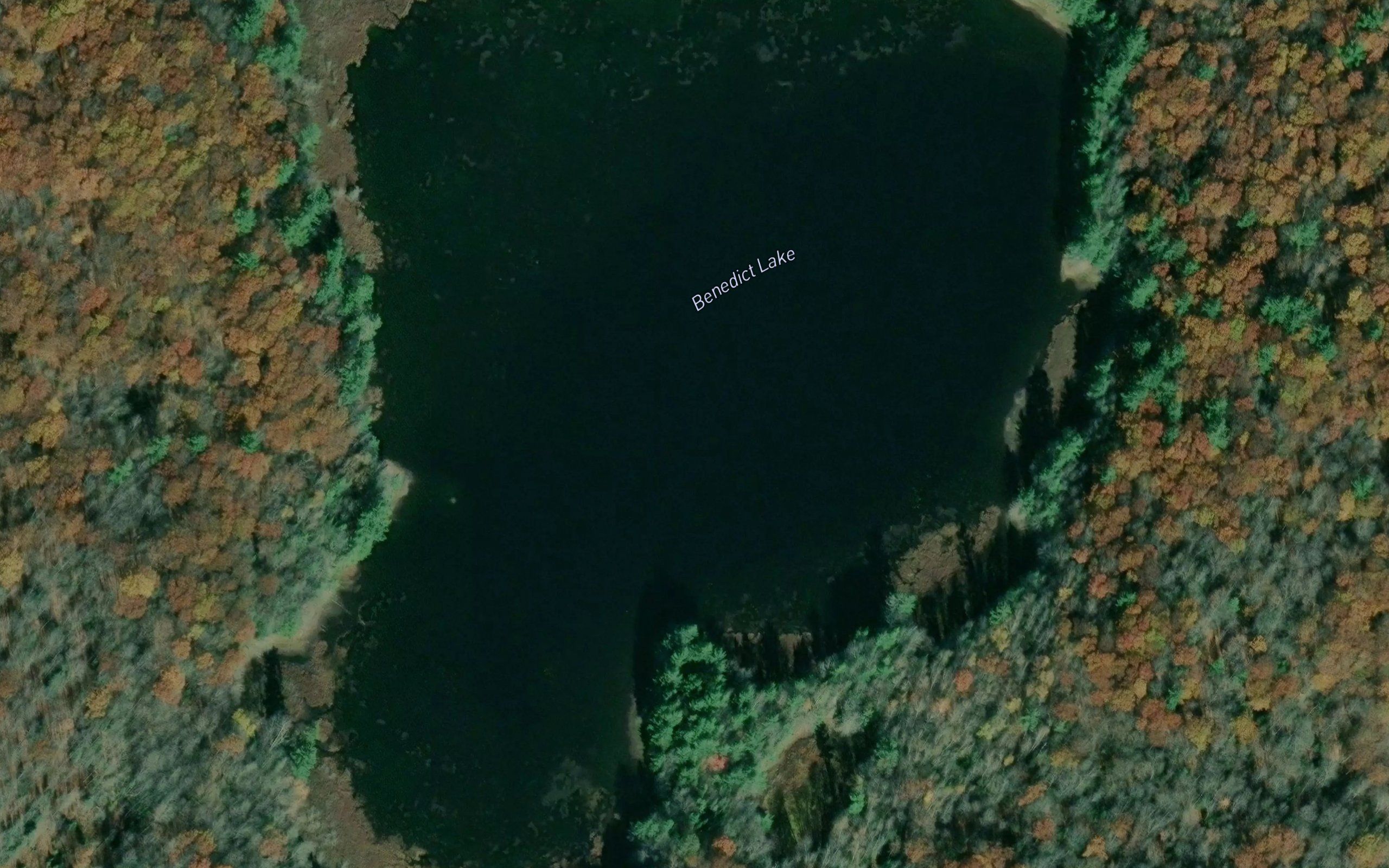 Benedict Lake