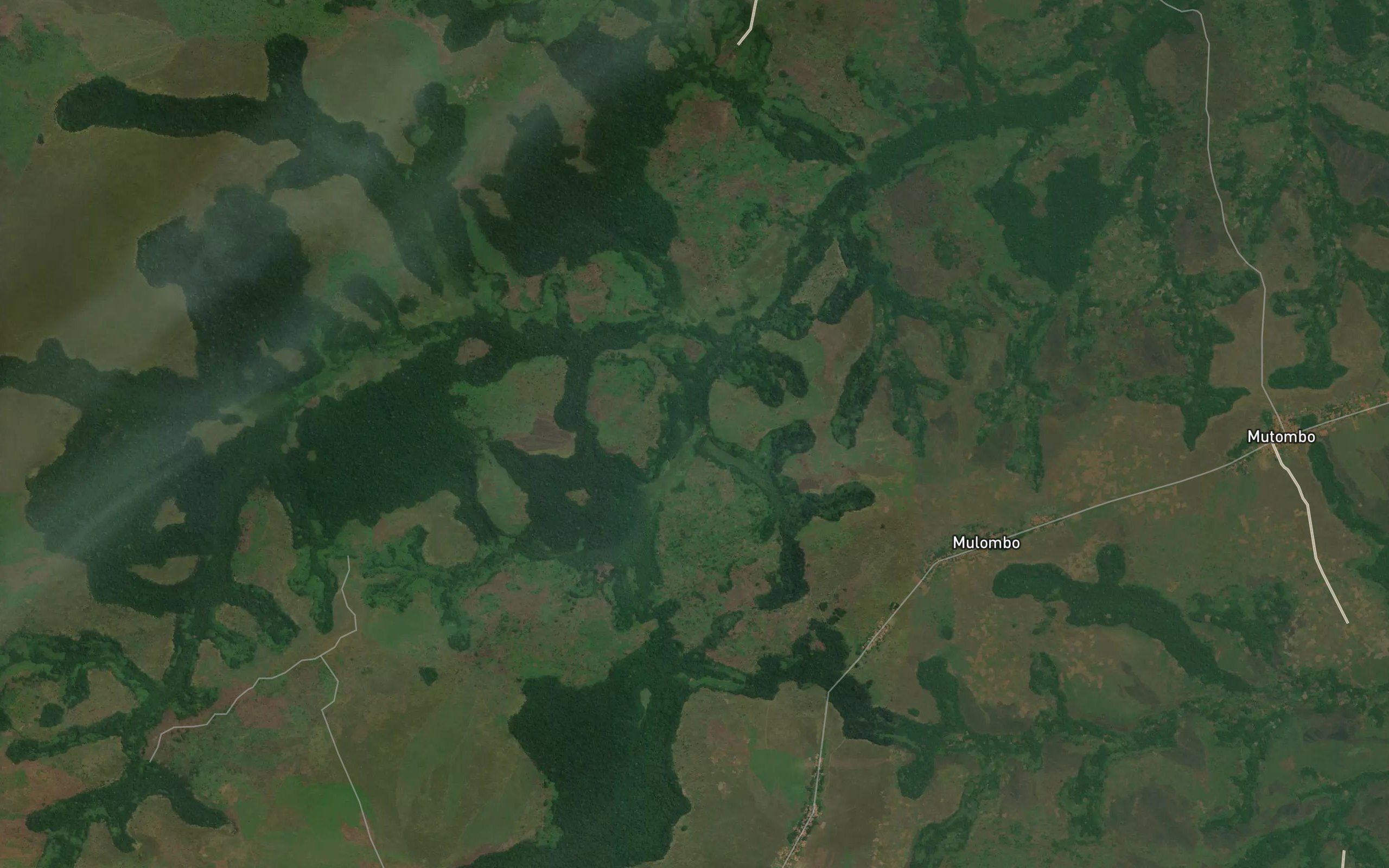 Katontolo