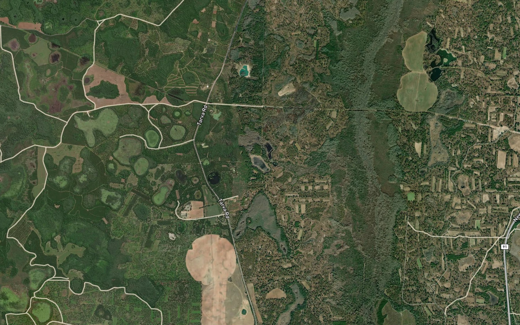 Satellite map of the Baptizing Pond