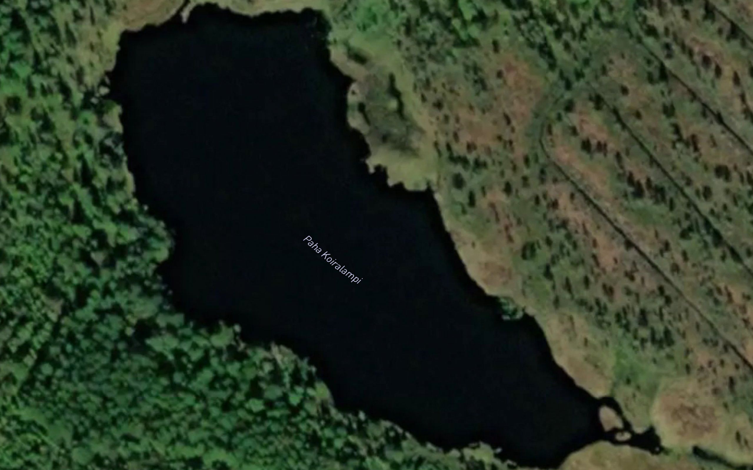 Paha Koiralampi