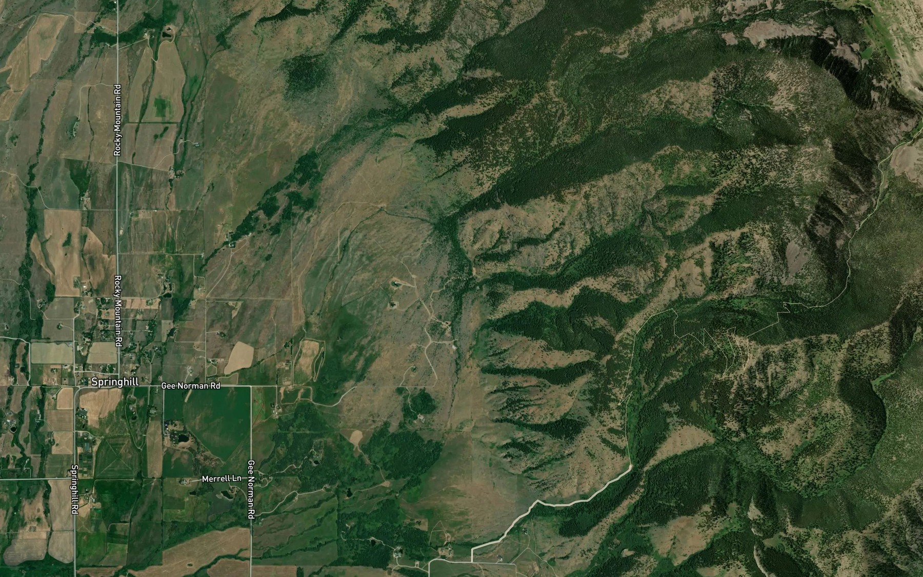 Satellite map of the Tom Reese Creek