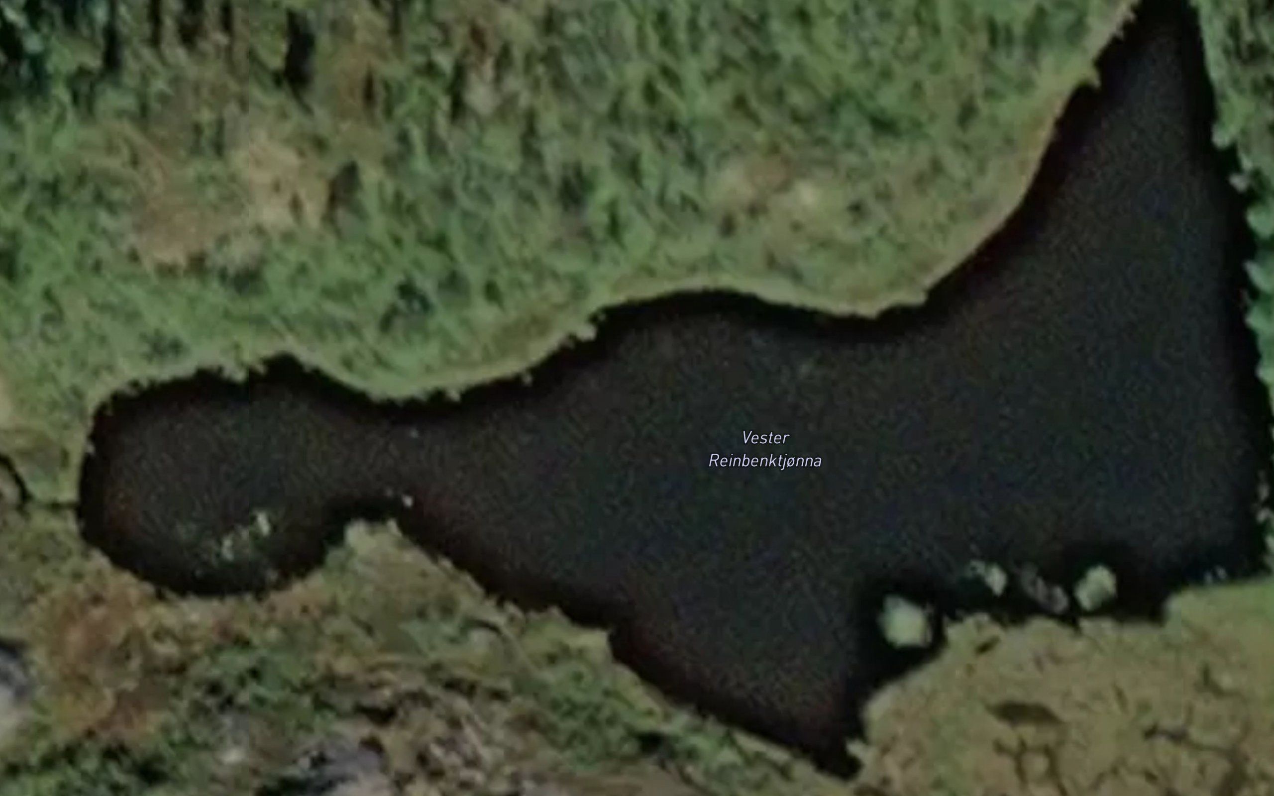 Vester Reinbenktjonna