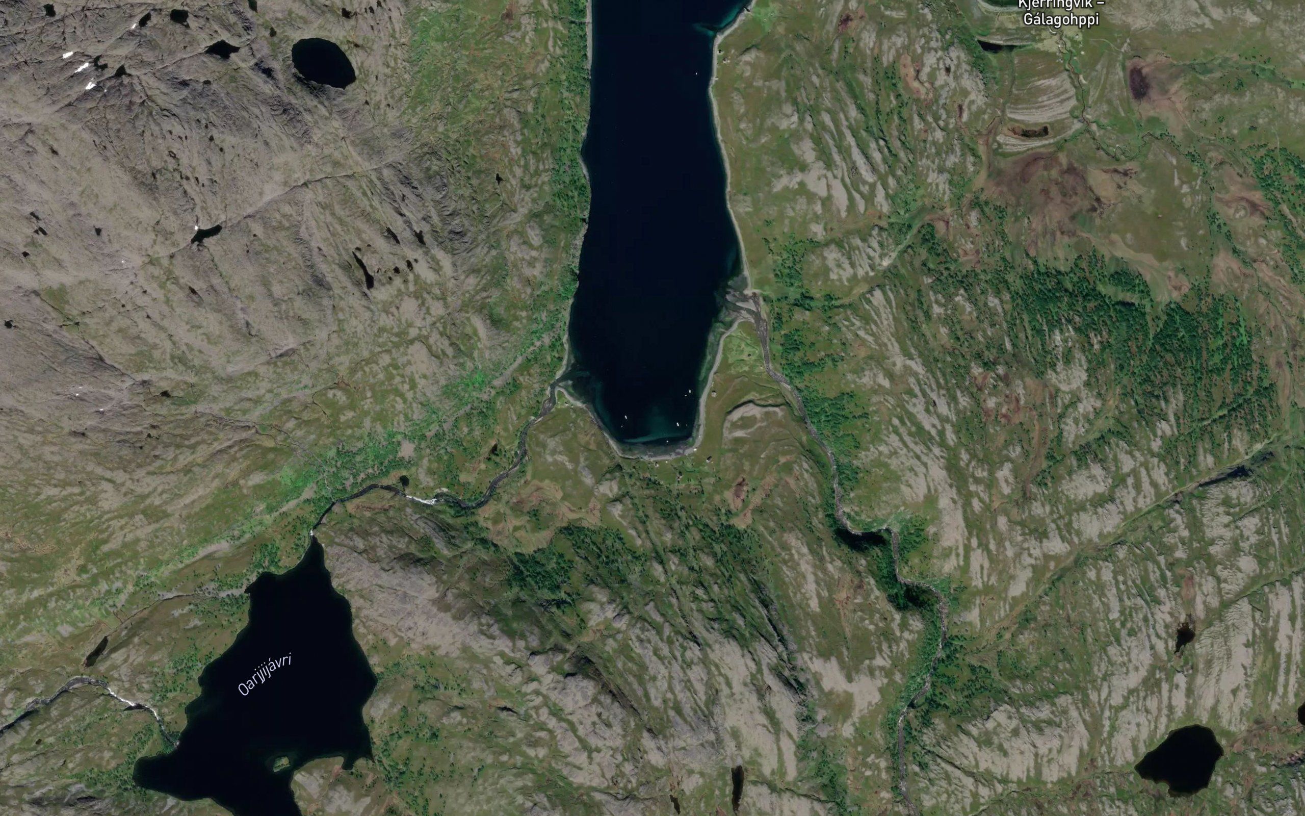 Kobbefjordbotn