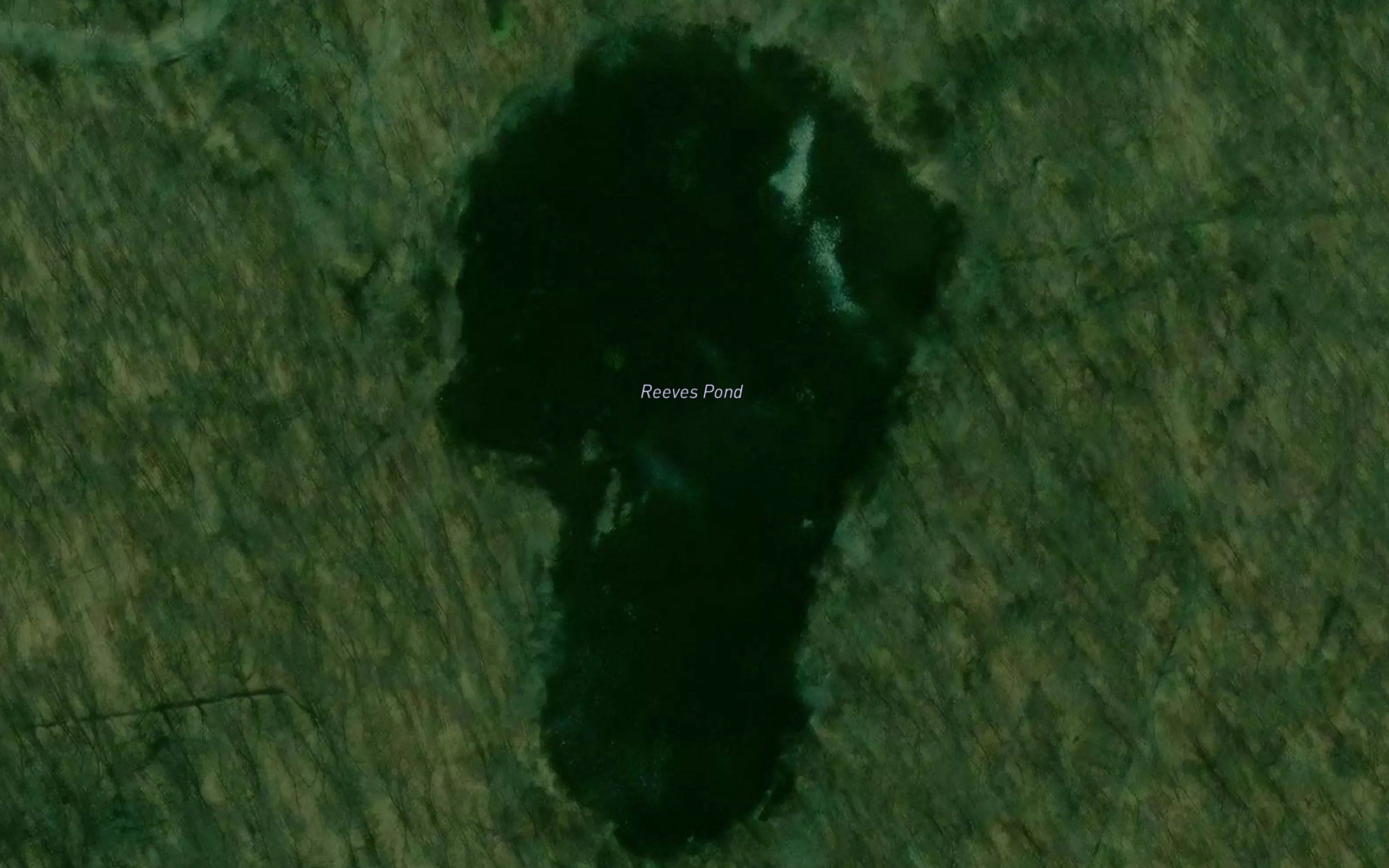 Reeves Pond