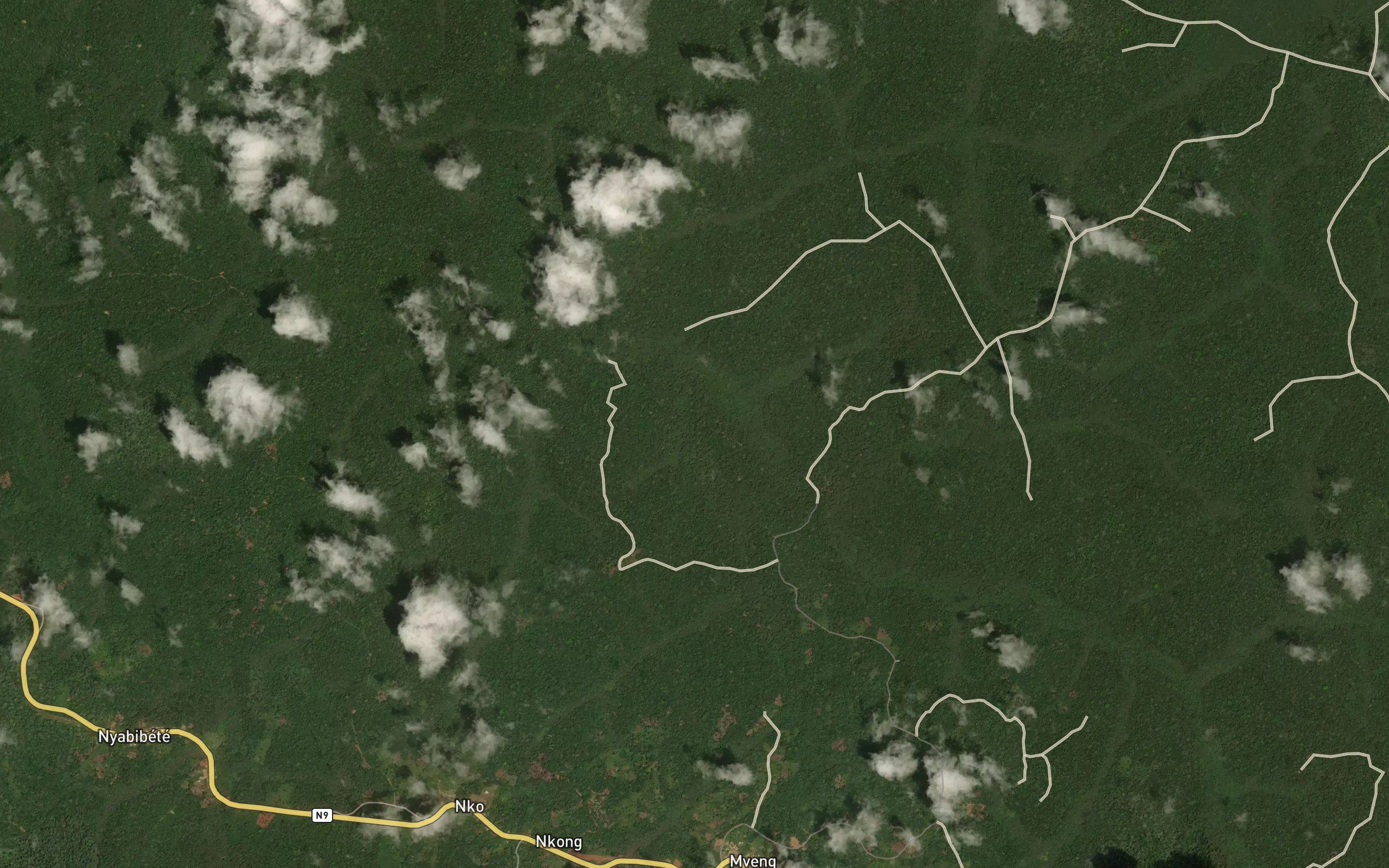 Ndene