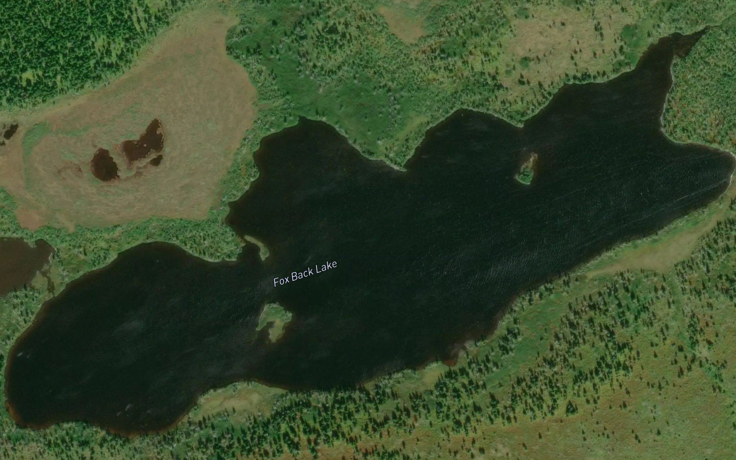 Fox Back Lake