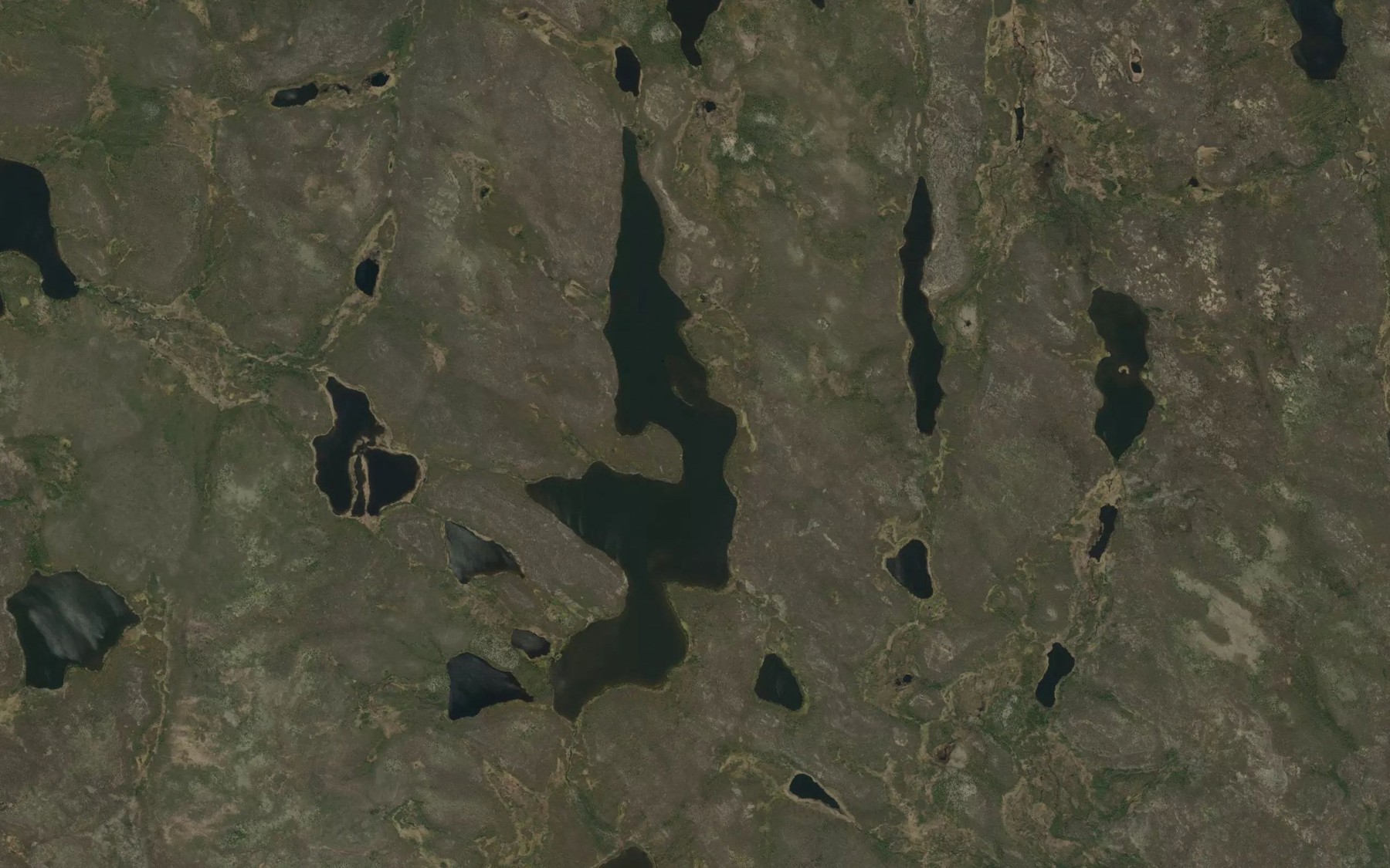 Satellite map of the Reahil Lake