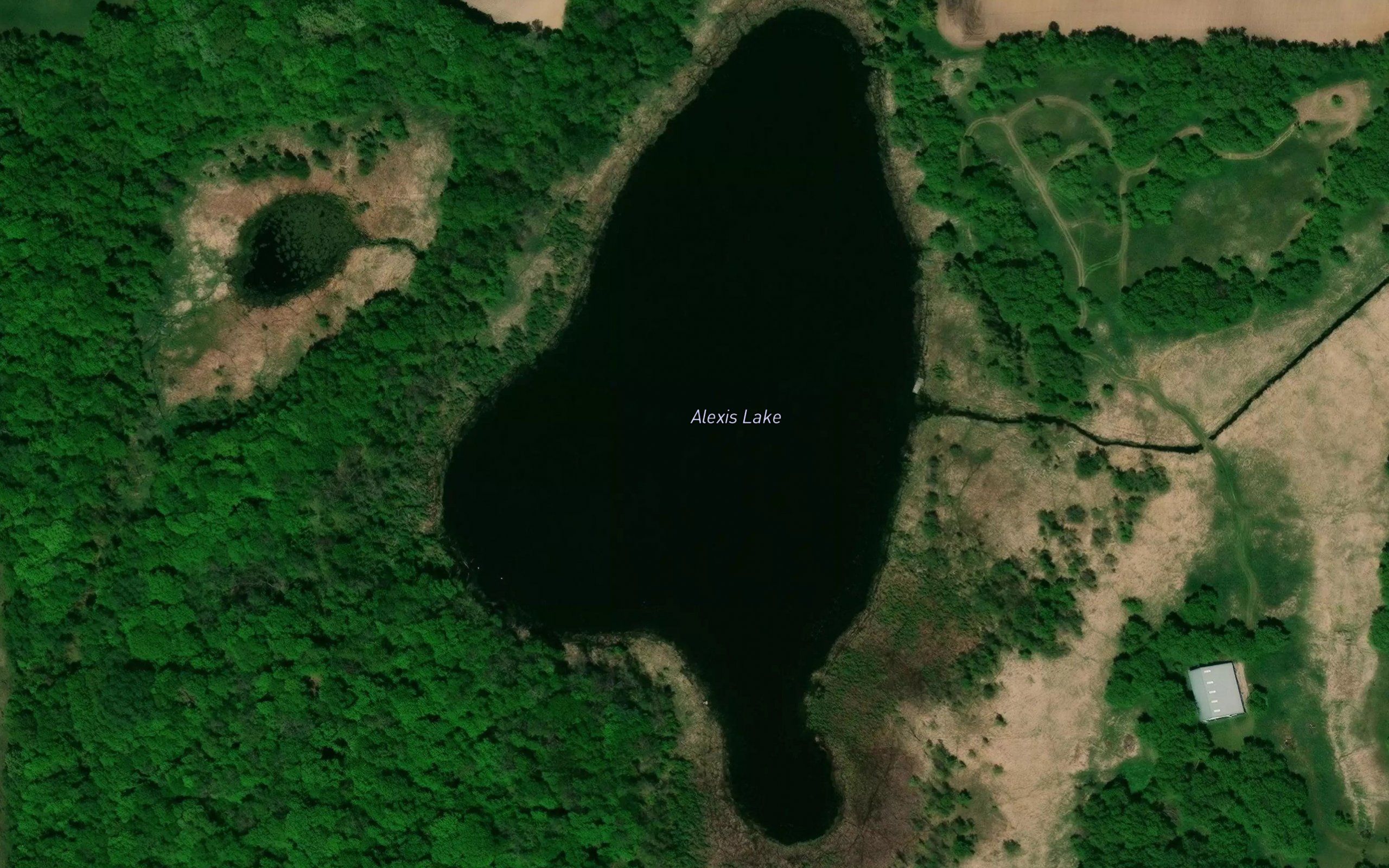 Alexis Lake