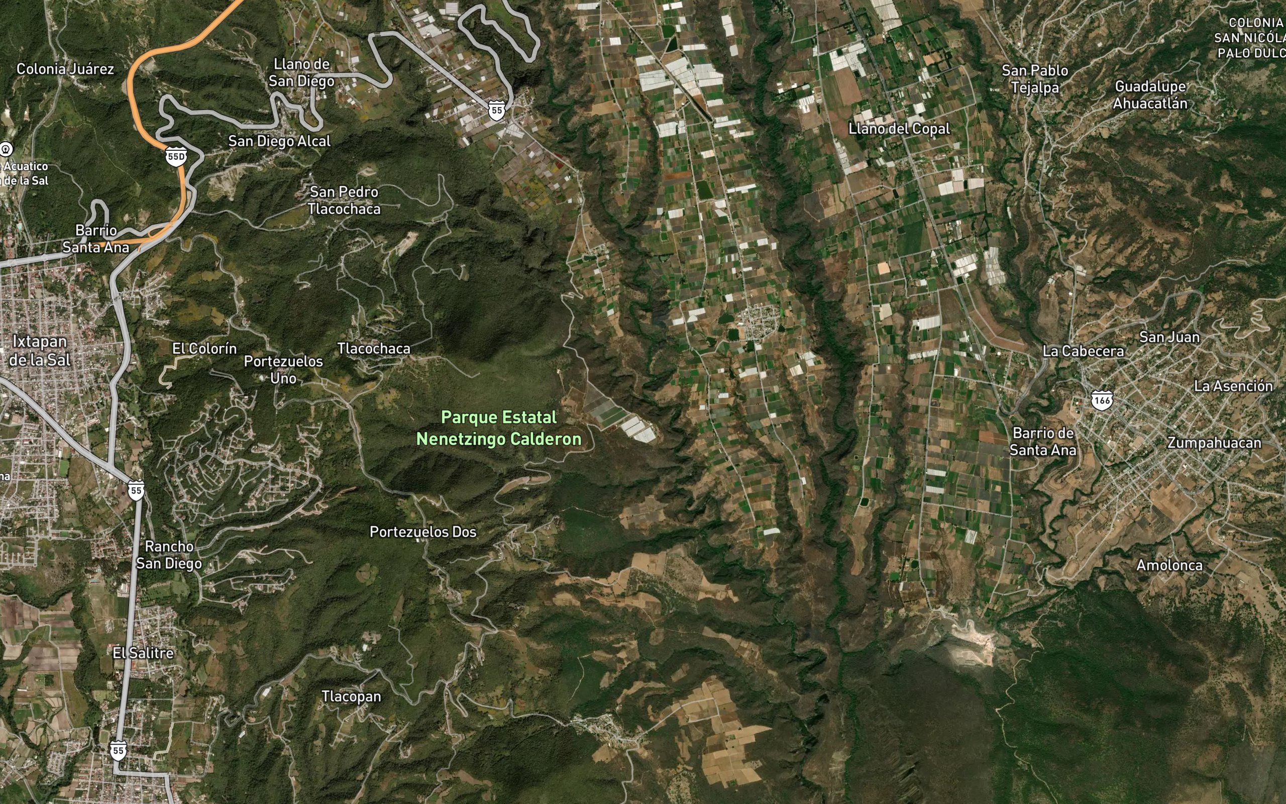 Nenetzingo