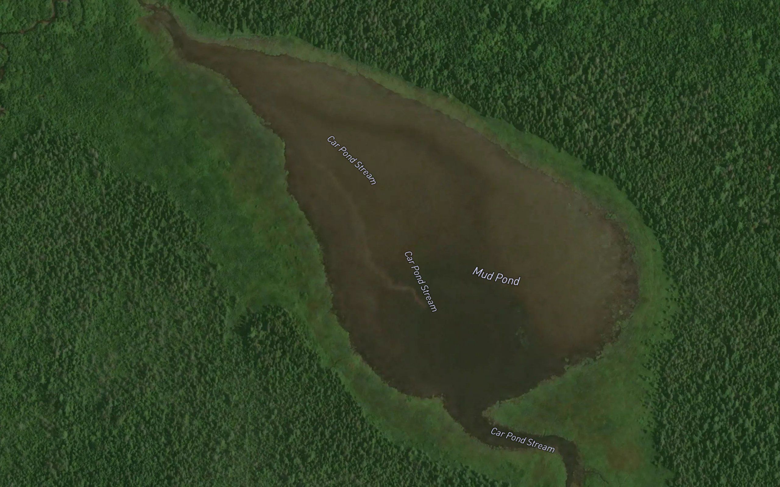 Mud Pond