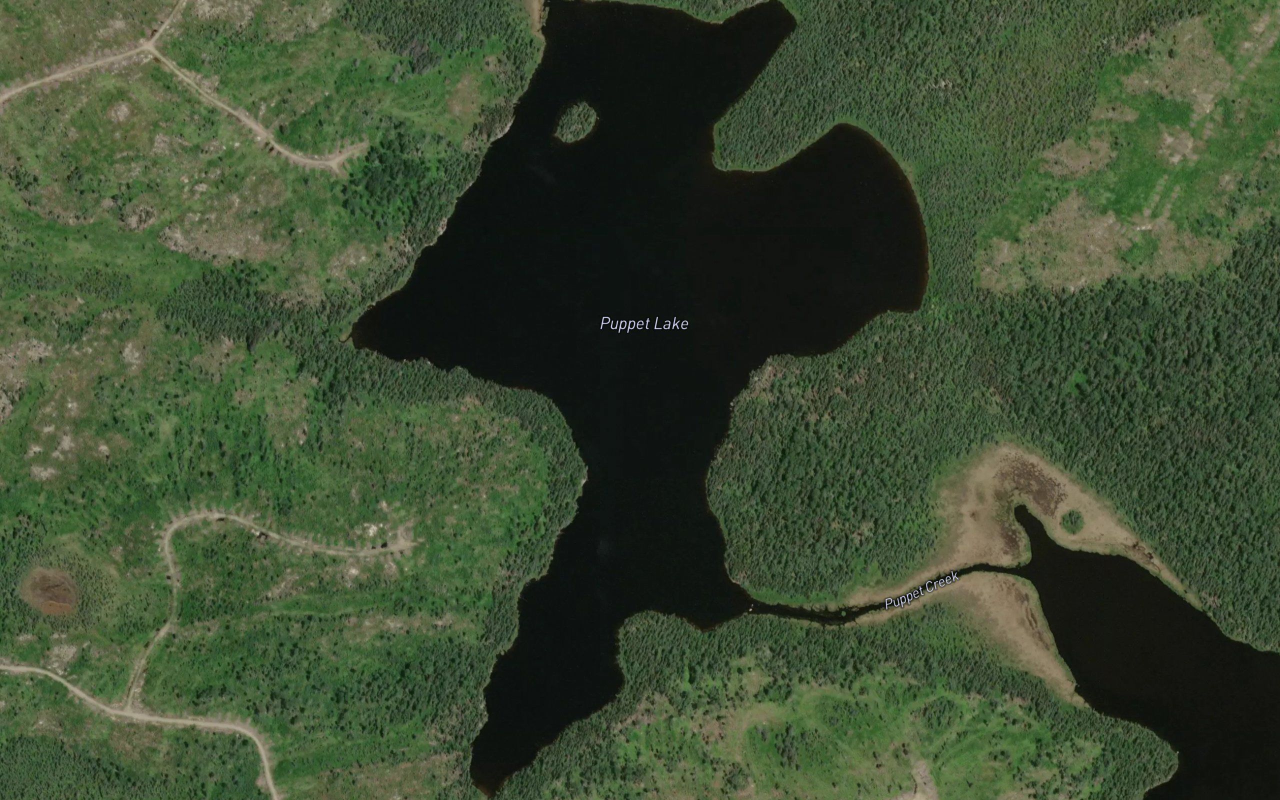 Puppet Lake