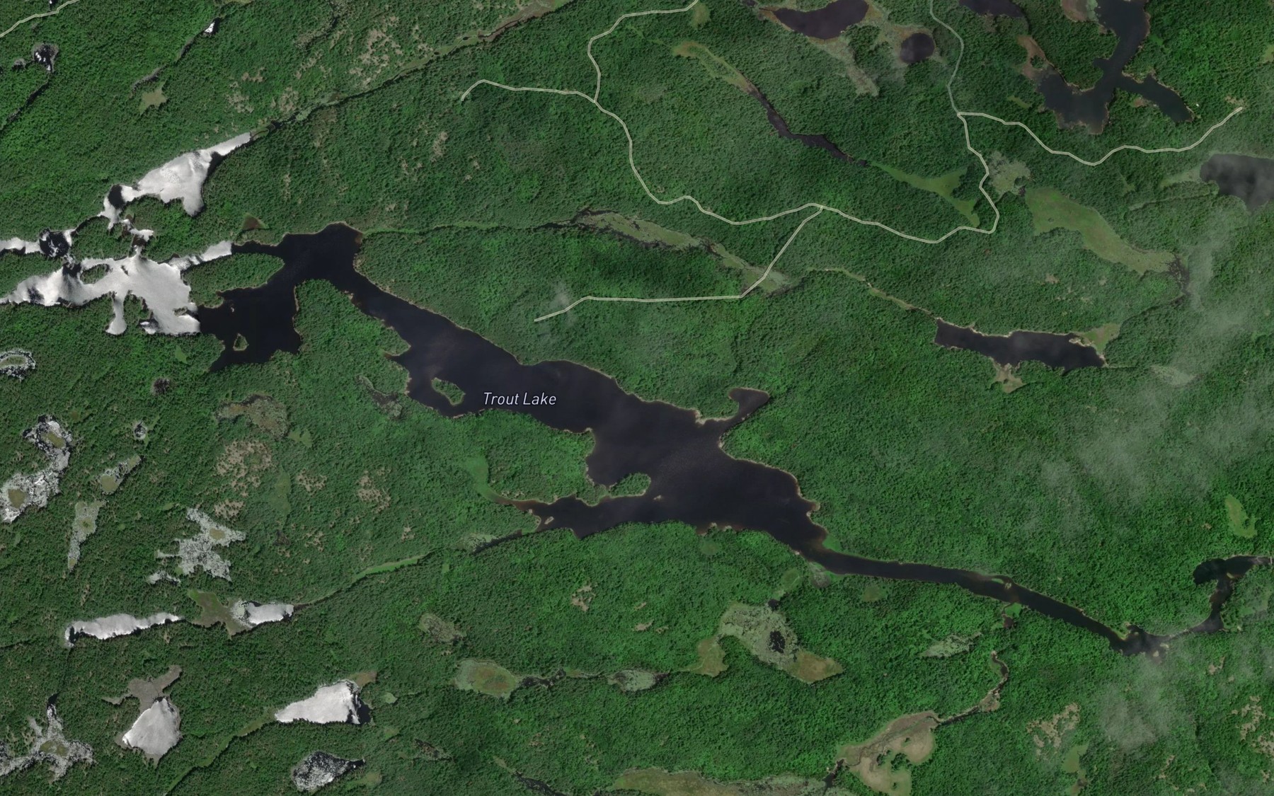 Satellite map of the Trout Lake