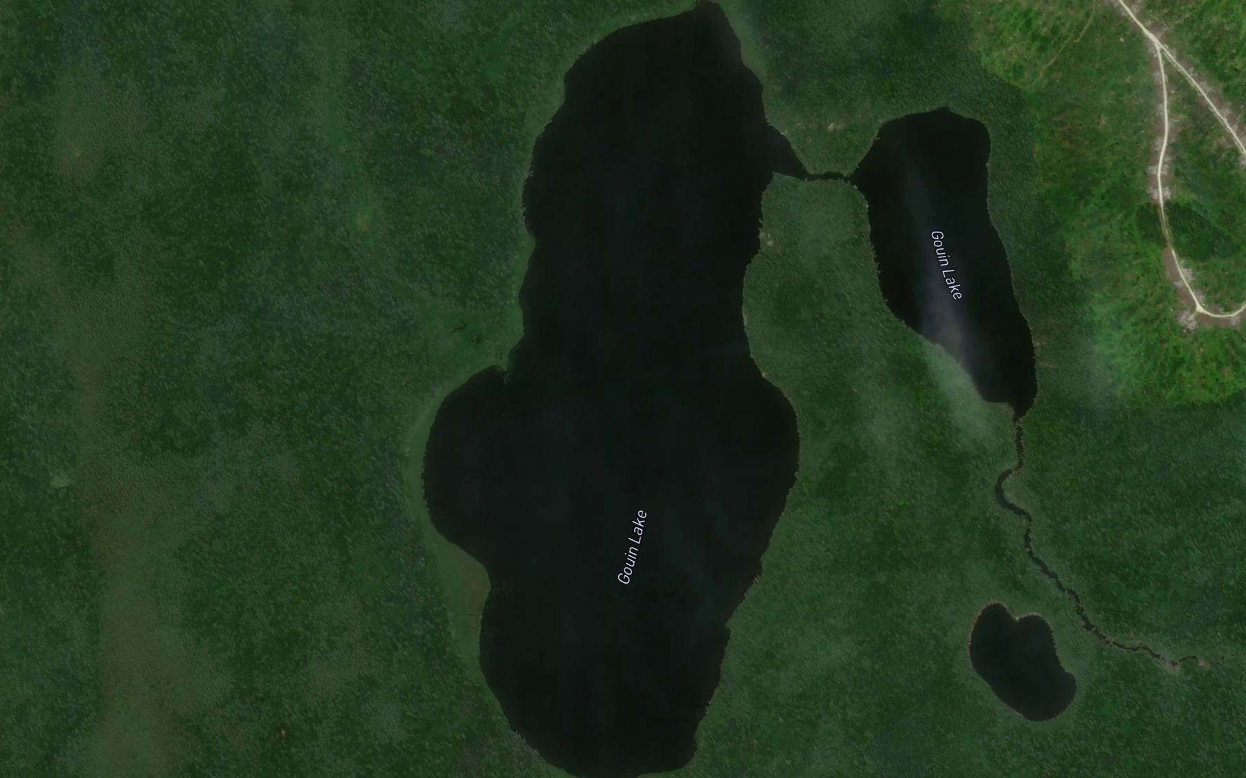 Satellite map of the Gouin Lake